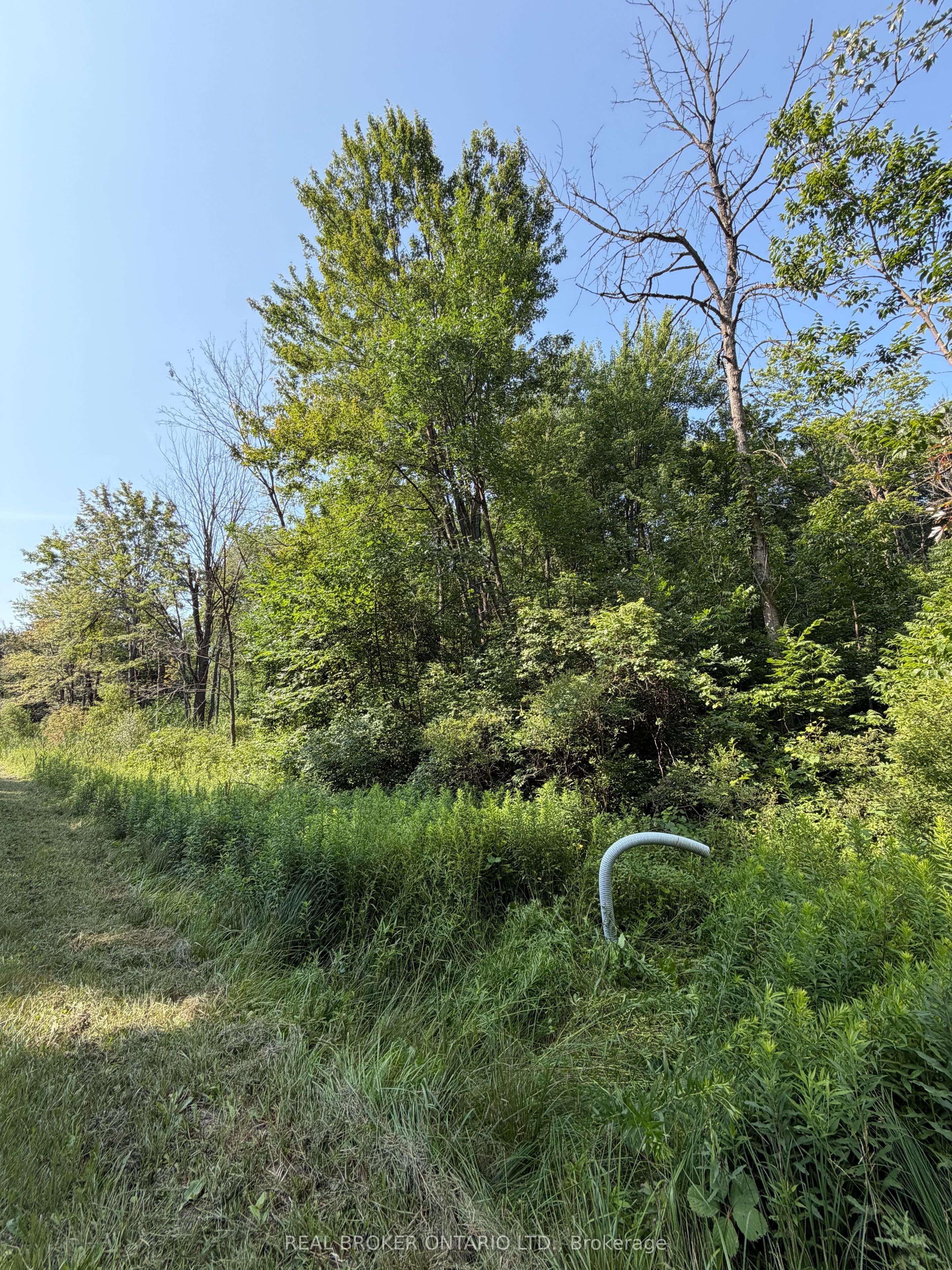 436123 43rd Line, Zorra, ON N0J 1J0 photo 4