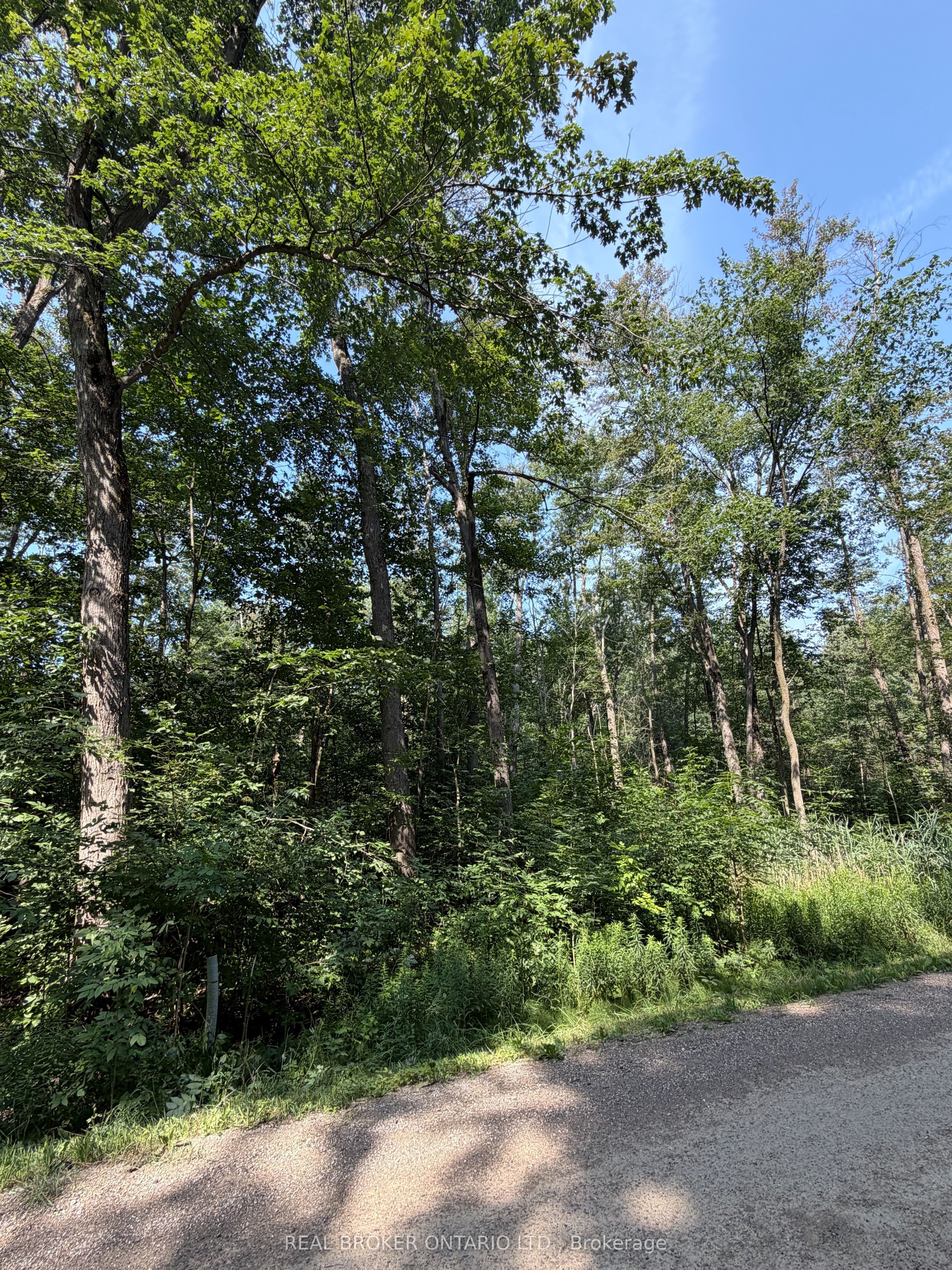 436123 43rd Line, Zorra, ON N0J 1J0 photo 5