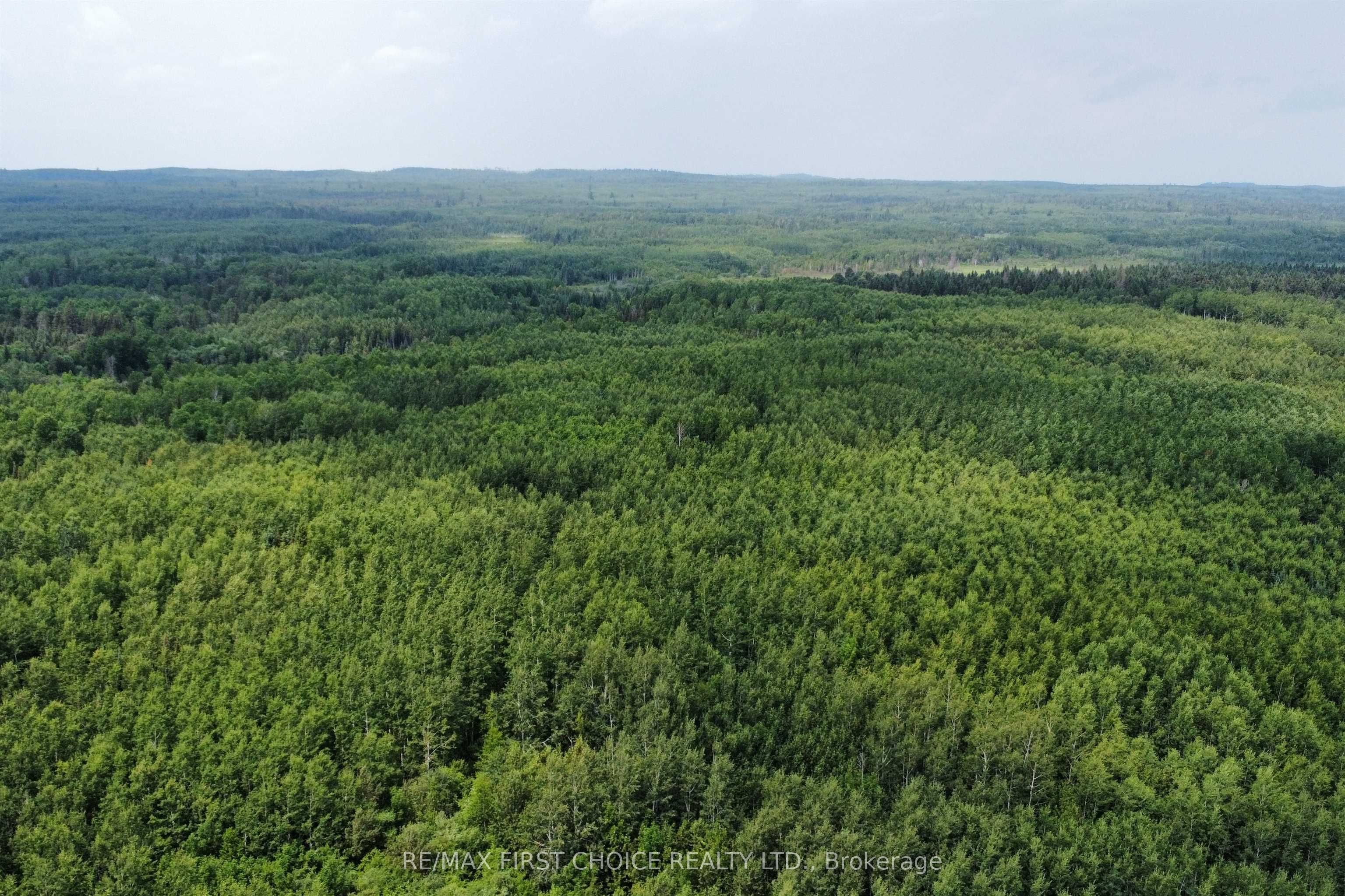 0 Third Road, Thunder Bay Remote Area, ON P0T 2K0 photo 4