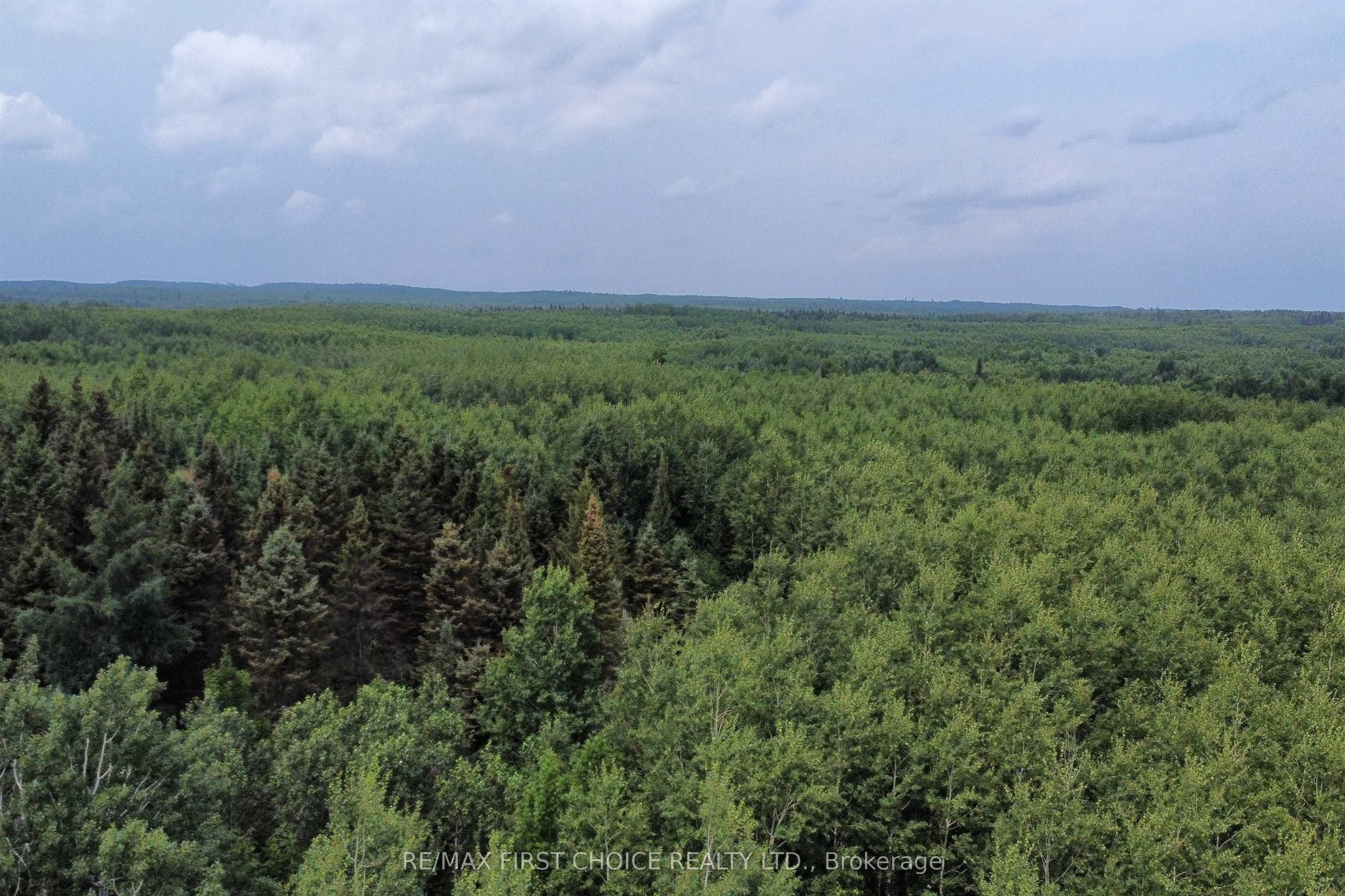 0 Third Road, Thunder Bay Remote Area, ON P0T 2K0 photo 5