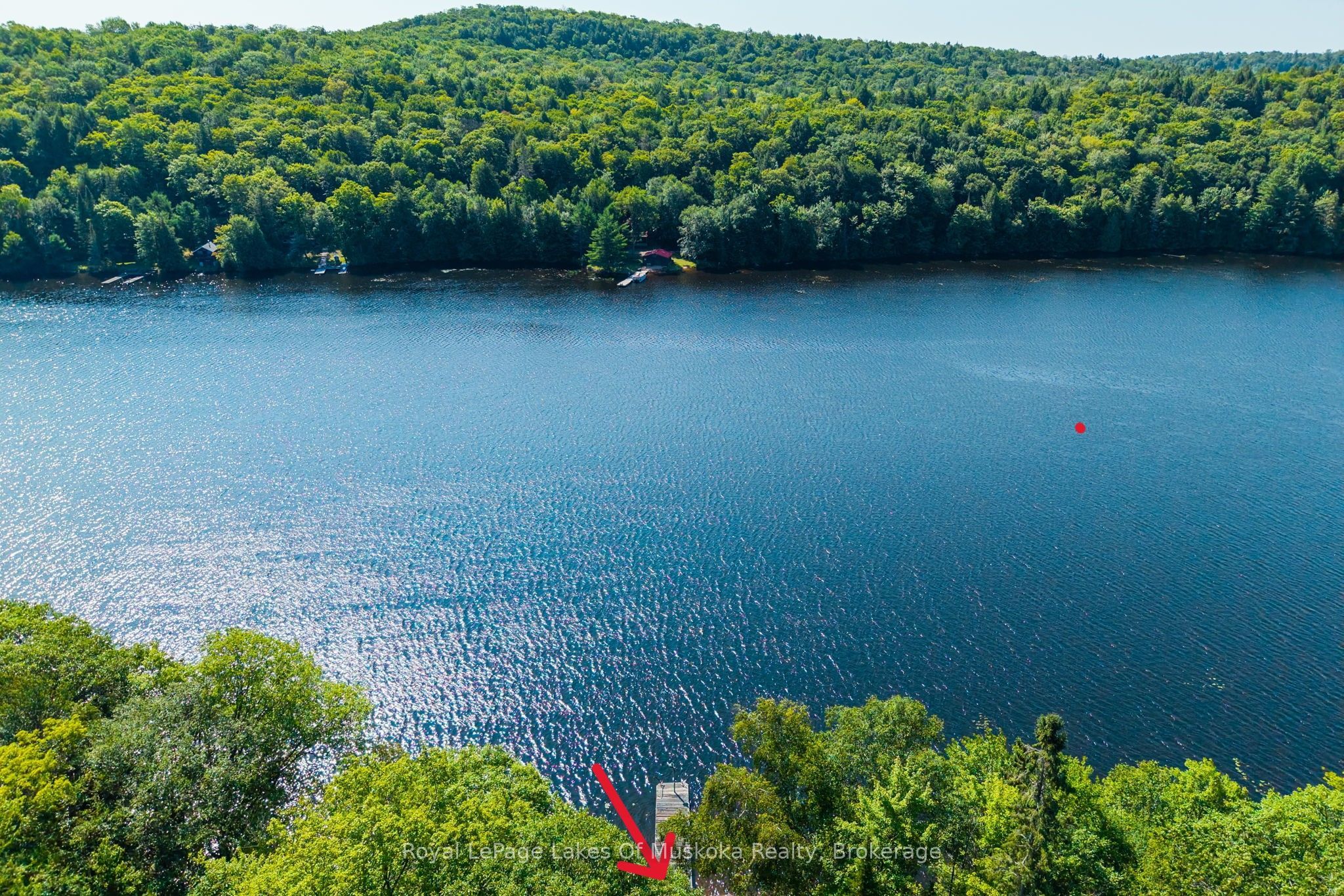 1187 Ivy Lane, Algonquin Highlands, ON P0A 1E0 photo 5