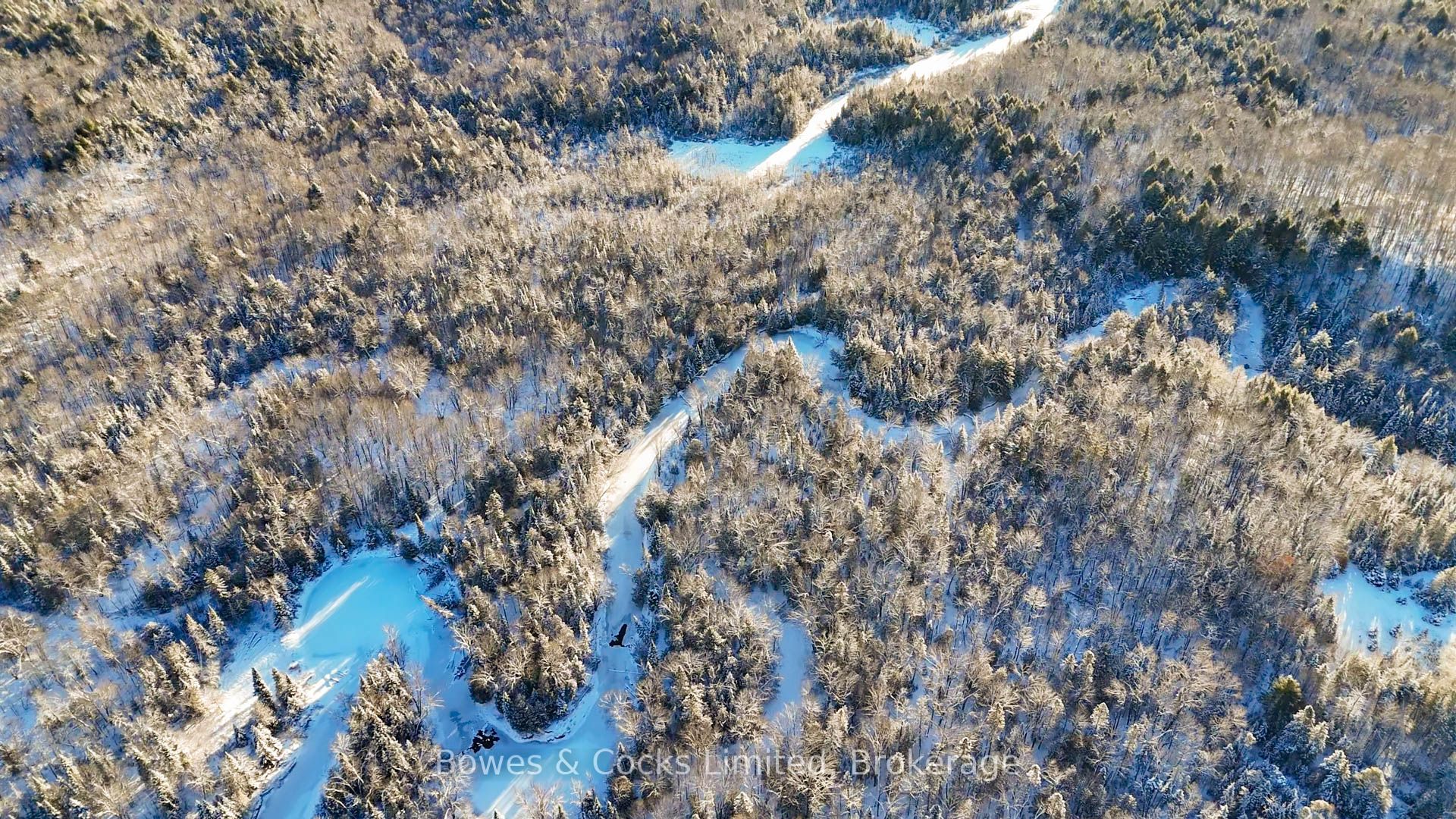 PT LT 32 Concession 6 N/A, North Kawartha, ON K0L 1A0 photo 3