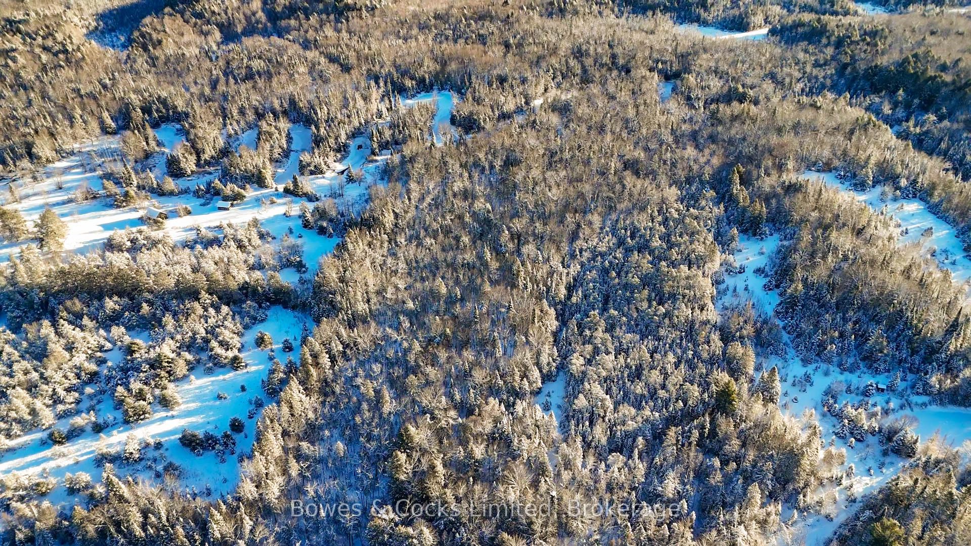 PT LT 32 Concession 6 N/A, North Kawartha, ON K0L 1A0 photo 4
