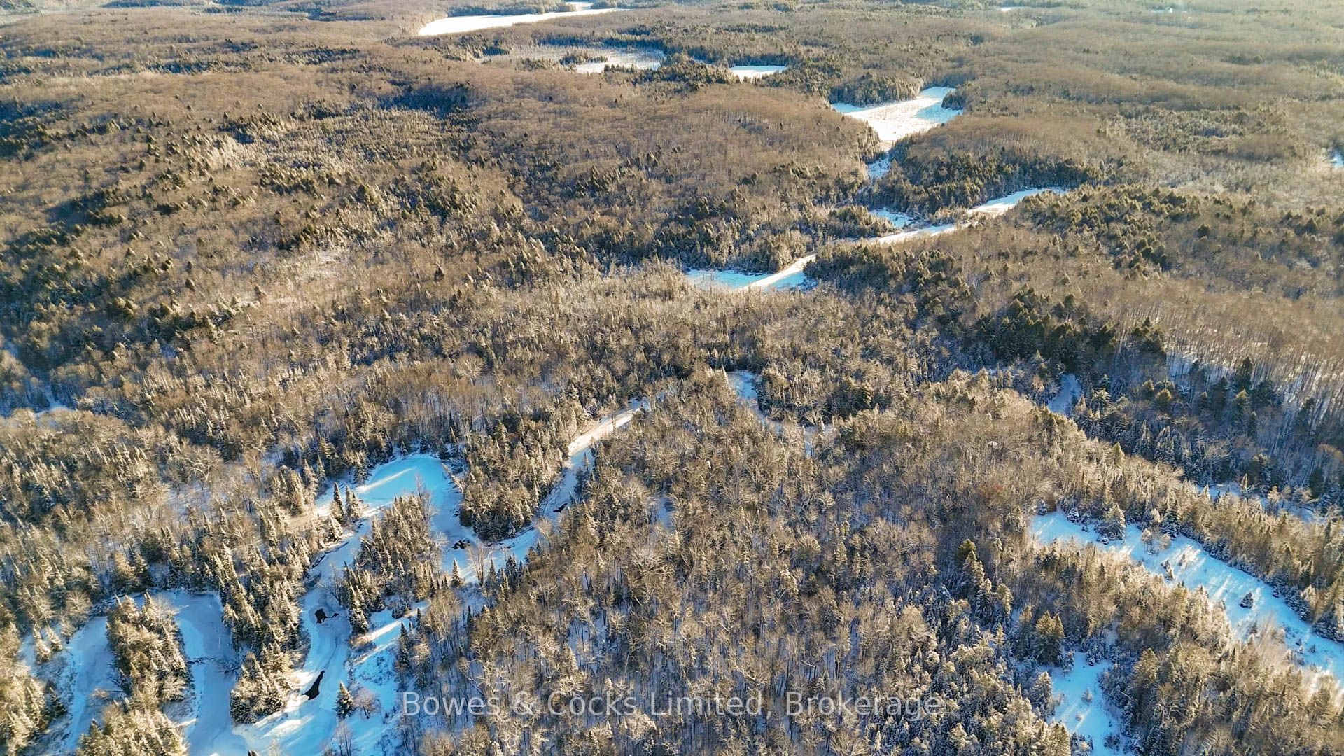 PT LT 32 Concession 6 N/A, North Kawartha, ON K0L 1A0 photo 5