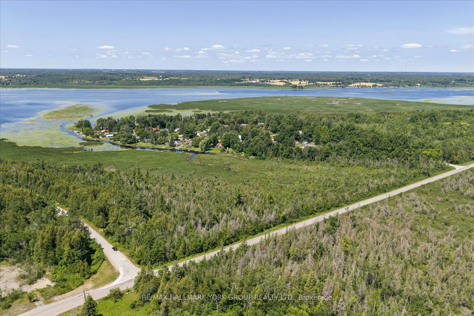 Lot 23 10 Concession, Kawartha Lakes, ON K0L 1T0 photo 4