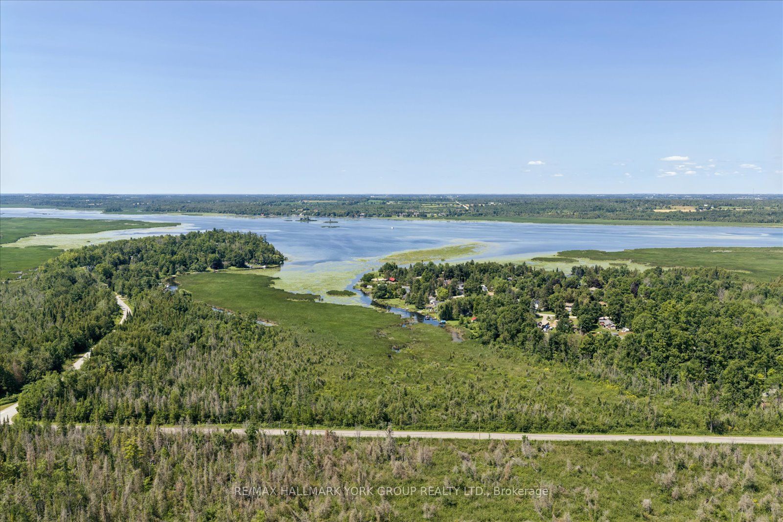 Lot 23 10 Concession, Kawartha Lakes, ON K0L 1T0 photo 5