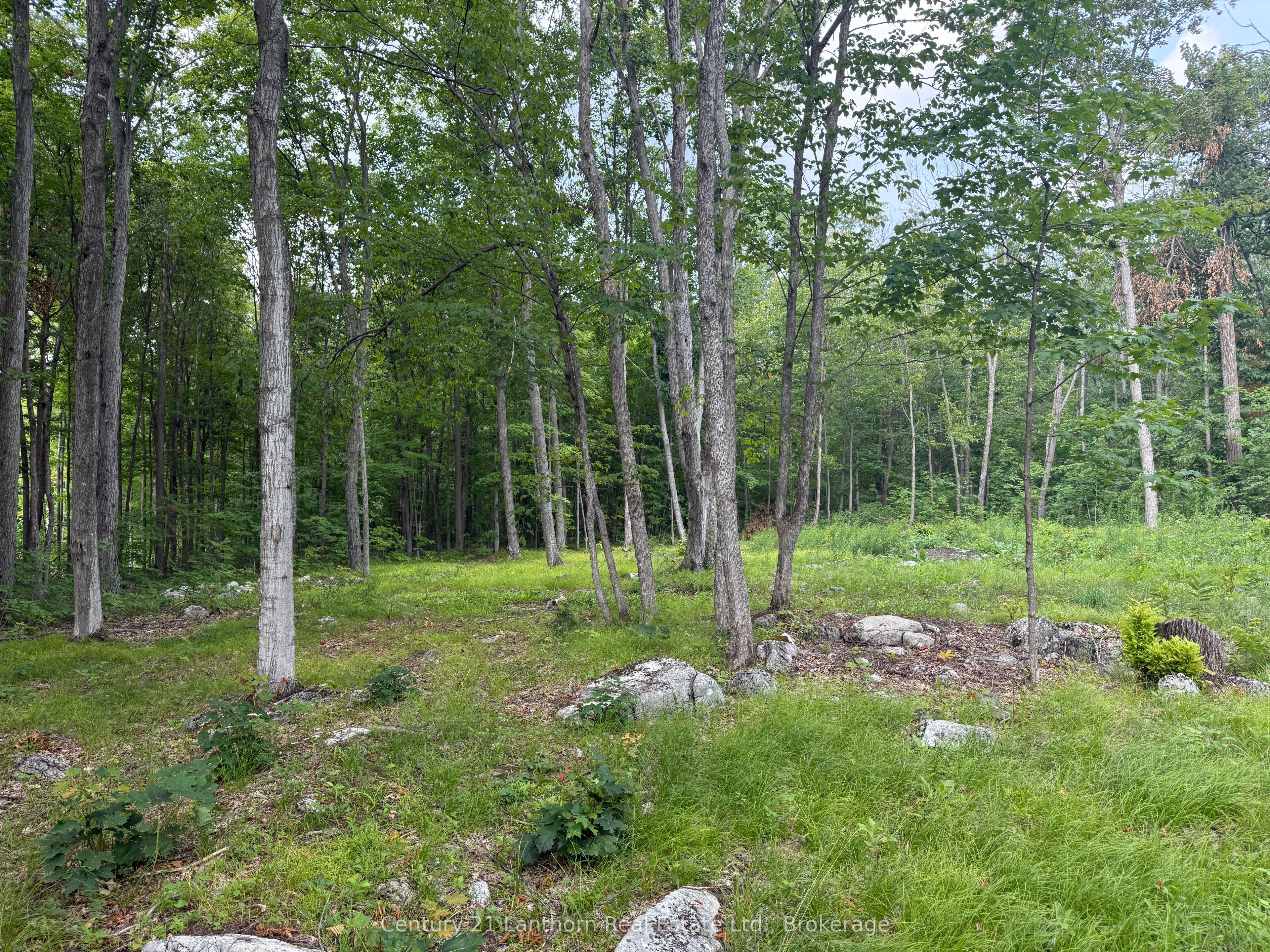 554 Pigden Road, Madoc, ON K0K 2K0