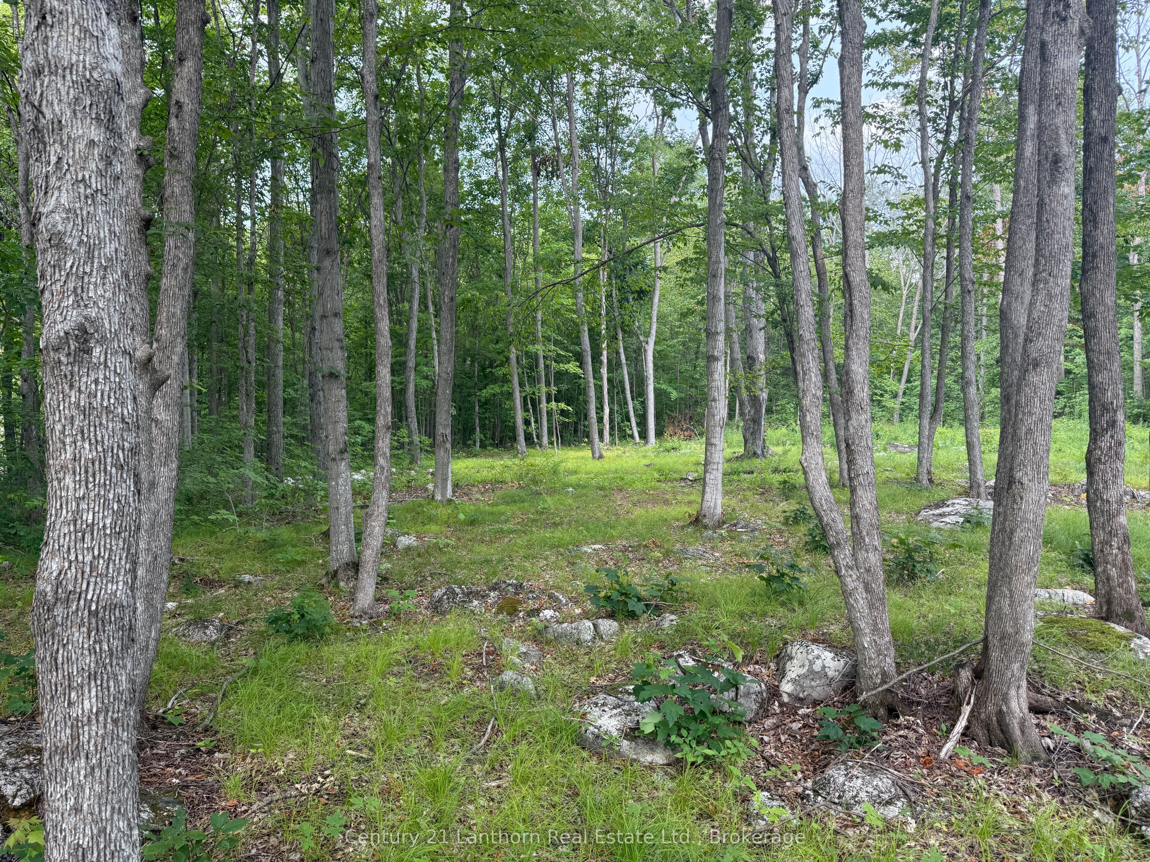 554 Pigden Road, Madoc, ON K0K 2K0 photo 2