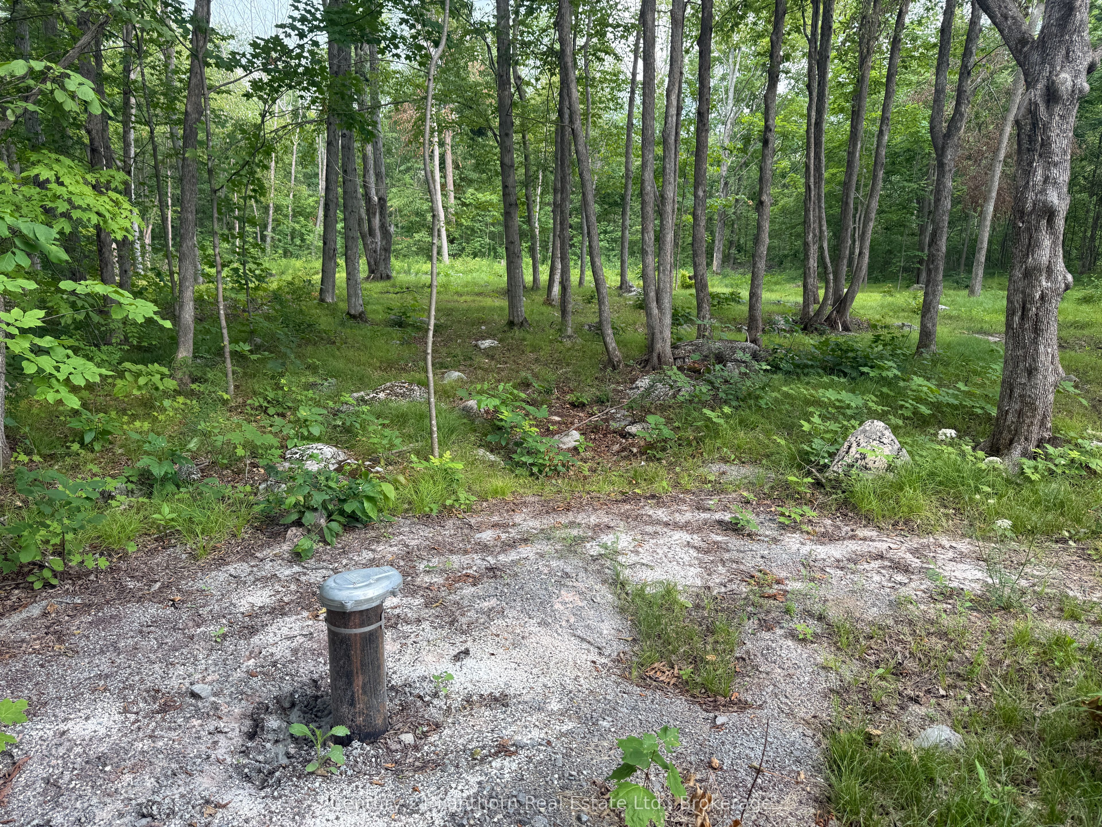 554 Pigden Road, Madoc, ON K0K 2K0 photo 3