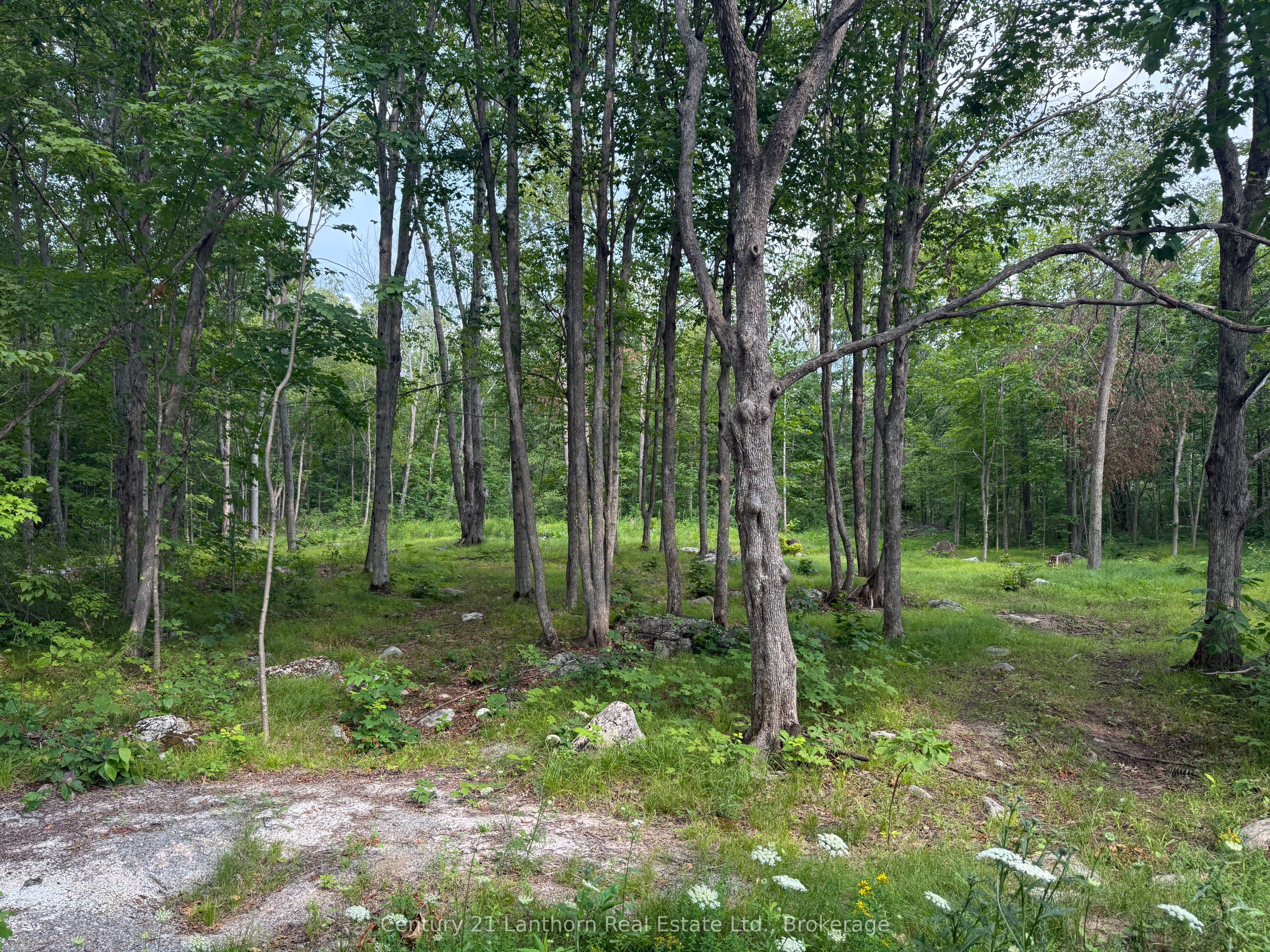 554 Pigden Road, Madoc, ON K0K 2K0 photo 4