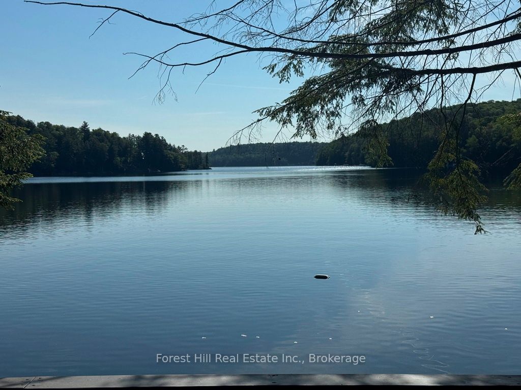 1293 Causeway Drive, Algonquin Highlands, ON P0A 1E0 photo 4