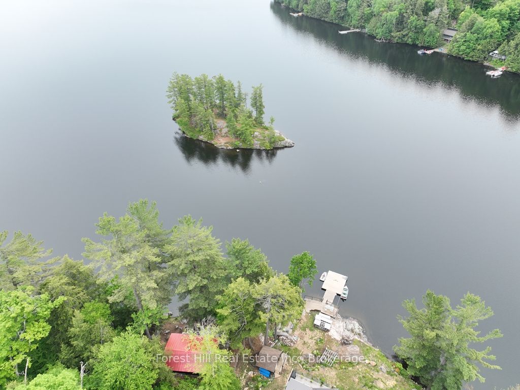 1293 Causeway Drive, Algonquin Highlands, ON P0A 1E0 photo 5