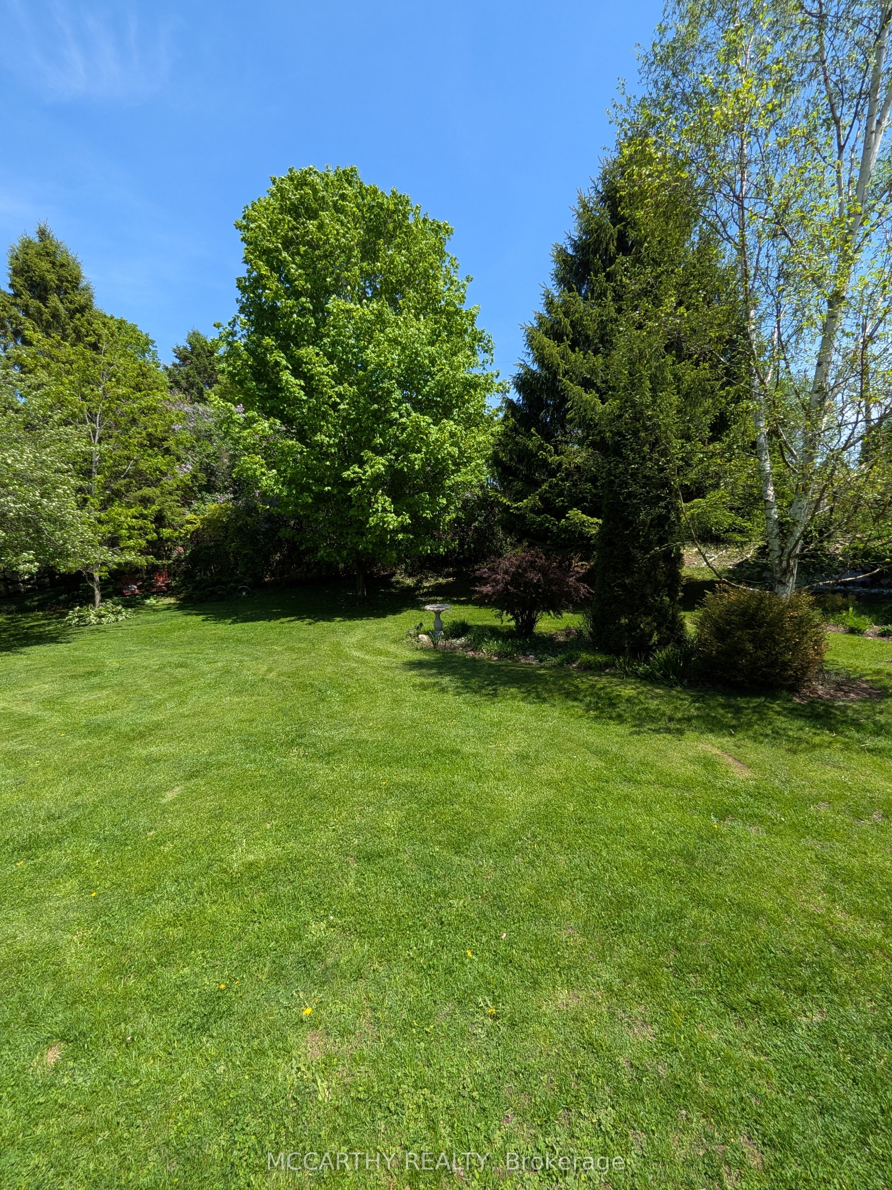 11 Lynda Avenue, Mono, ON L9W 1Z4 photo 4