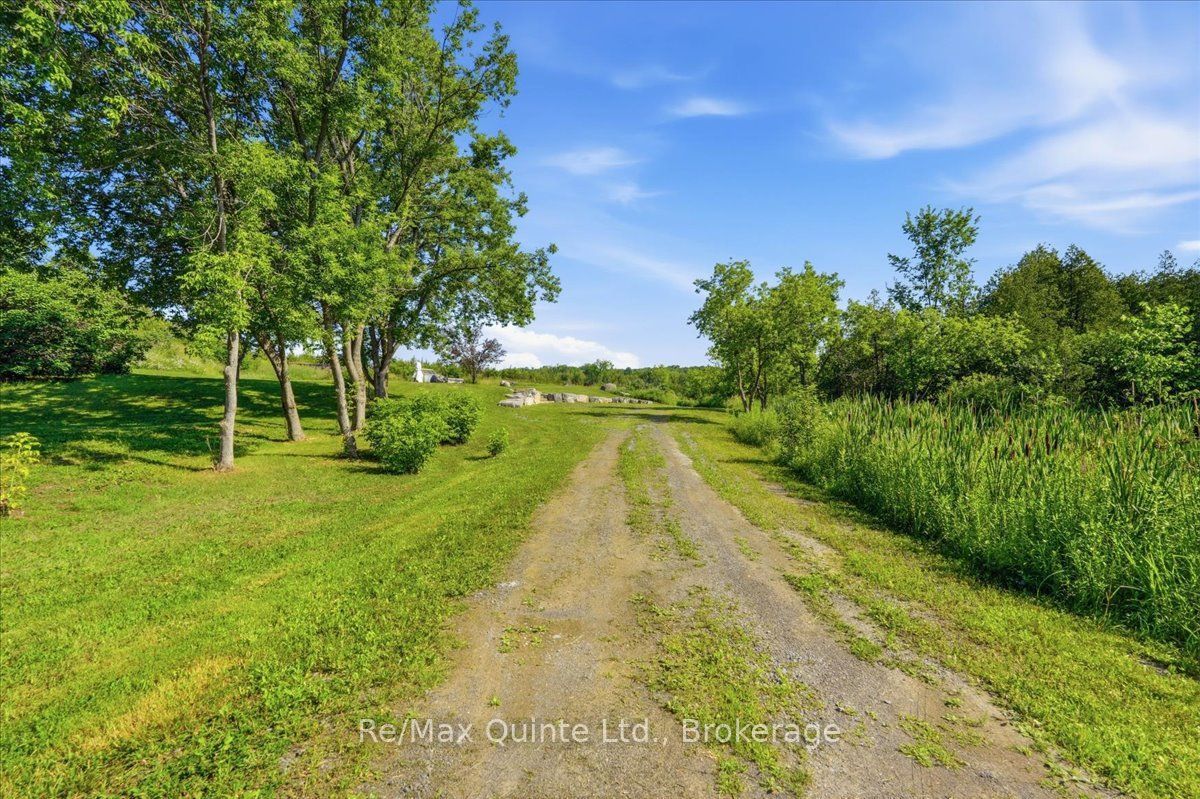 211 Maple Sugar Road, Tyendinaga, ON K0K 3A0 photo 2