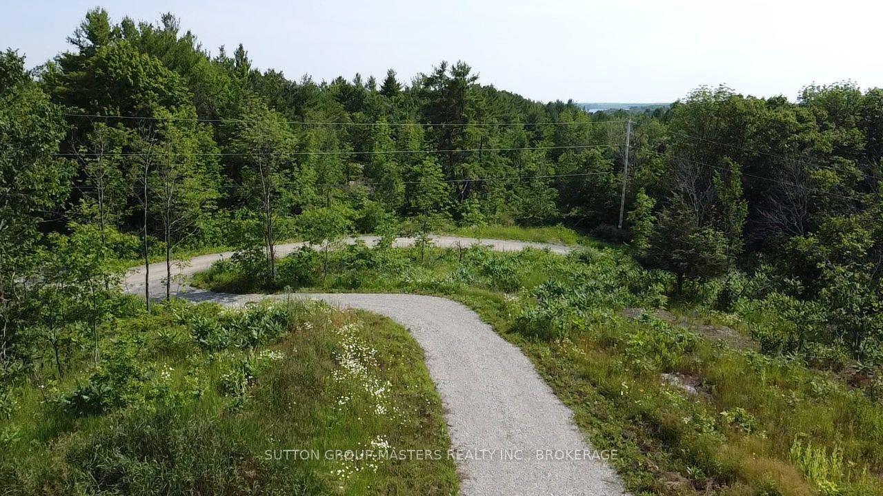 300 Woodcocks Mills Road, Stone Mills, ON K0K 3G0 photo 5