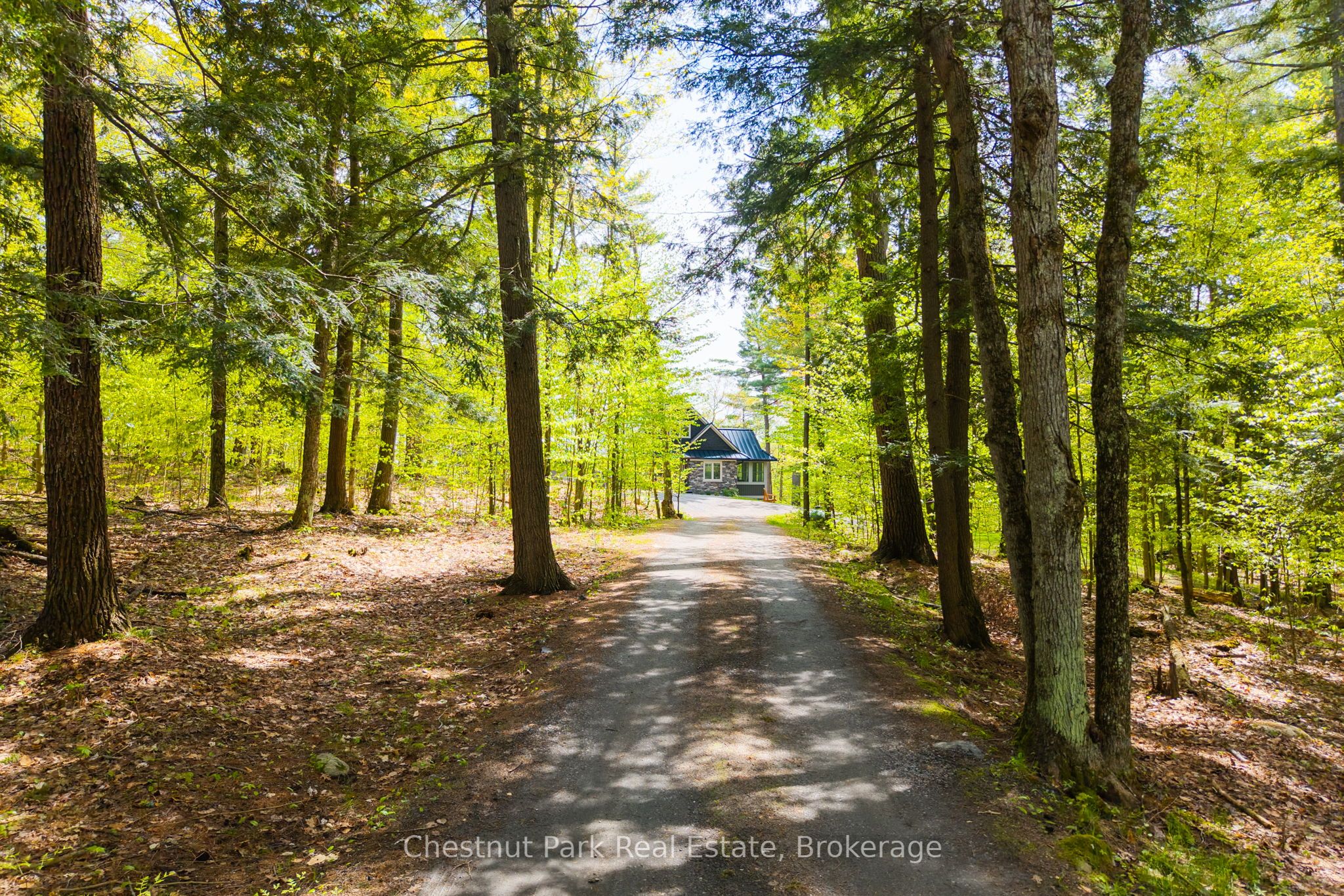 30 Stephen Road, Muskoka Lakes, ON P0B 1J0