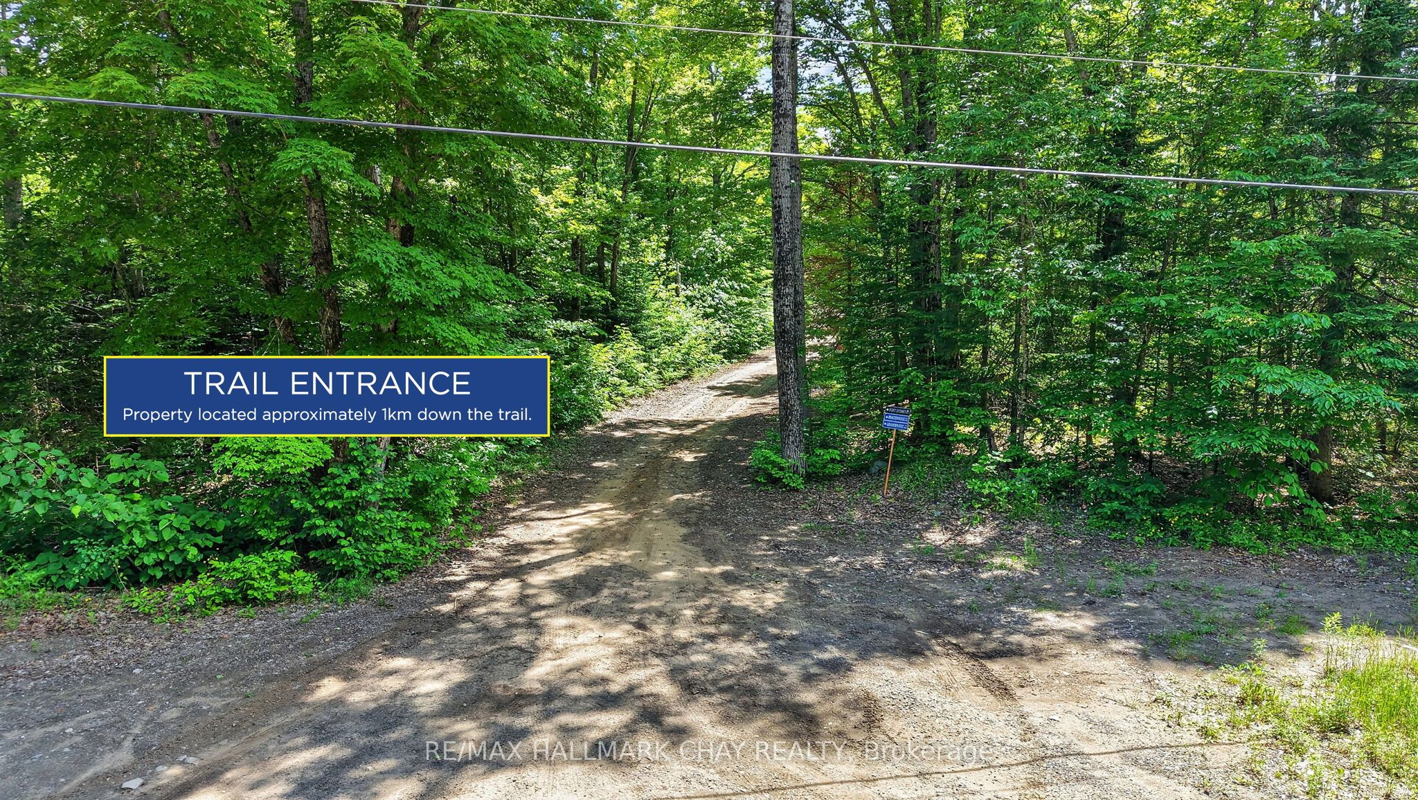 Lot 29 Concession 11 Franklin, Lake of Bays, ON N0N 0N0 photo 3