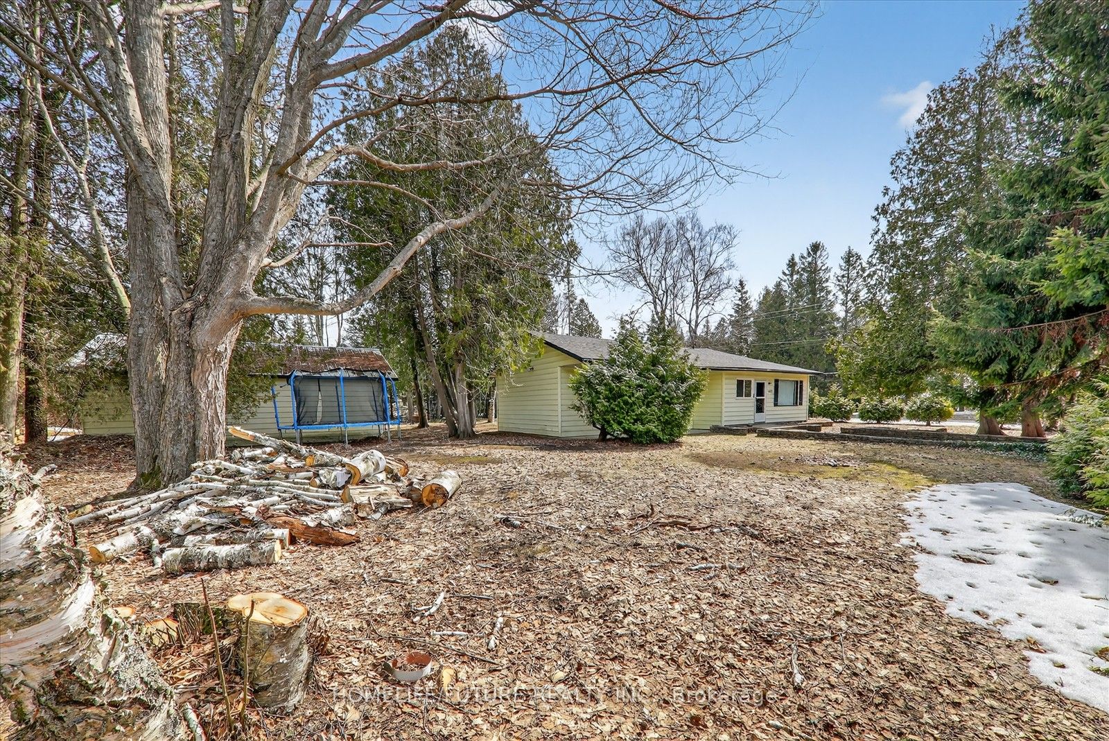 603 Third Avenue N, South Bruce Peninsula, ON N0H 2G0 photo 4