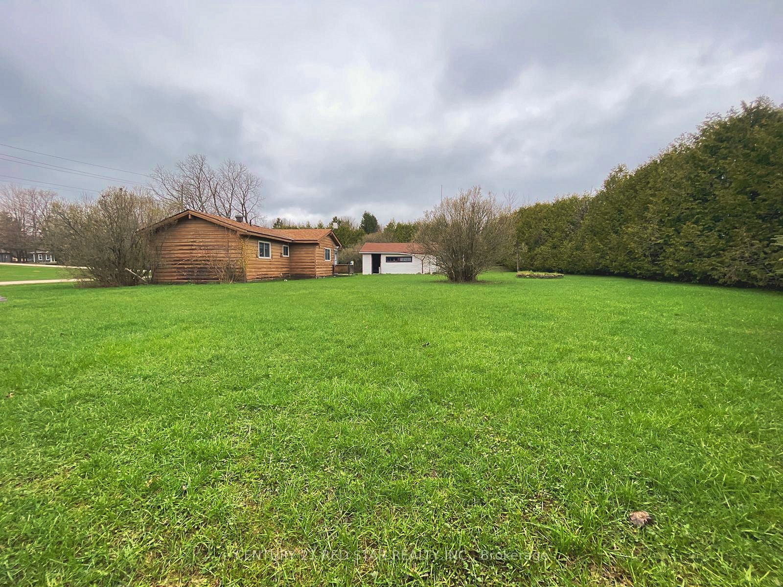 209 Evans Street, Grey Highlands, ON N0C 1E0 photo 4