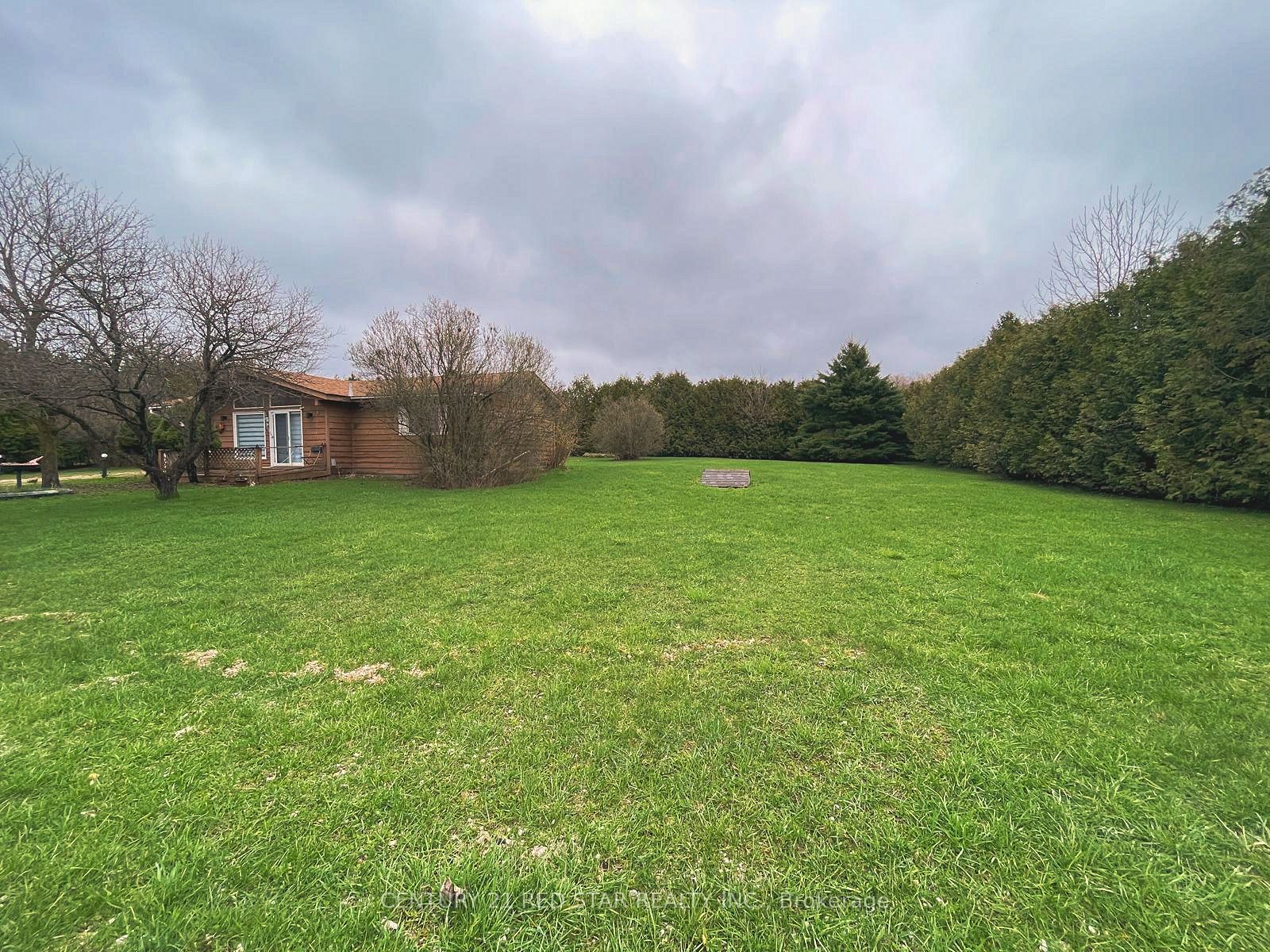 209 Evans Street, Grey Highlands, ON N0C 1E0 photo 5