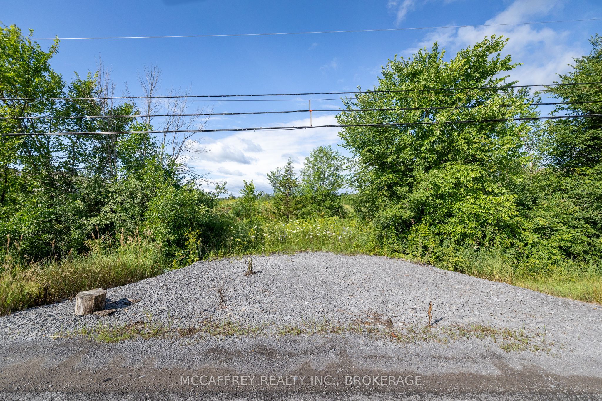 00 County Rd 8, Greater Napanee, ON K7R 3K6 photo 4