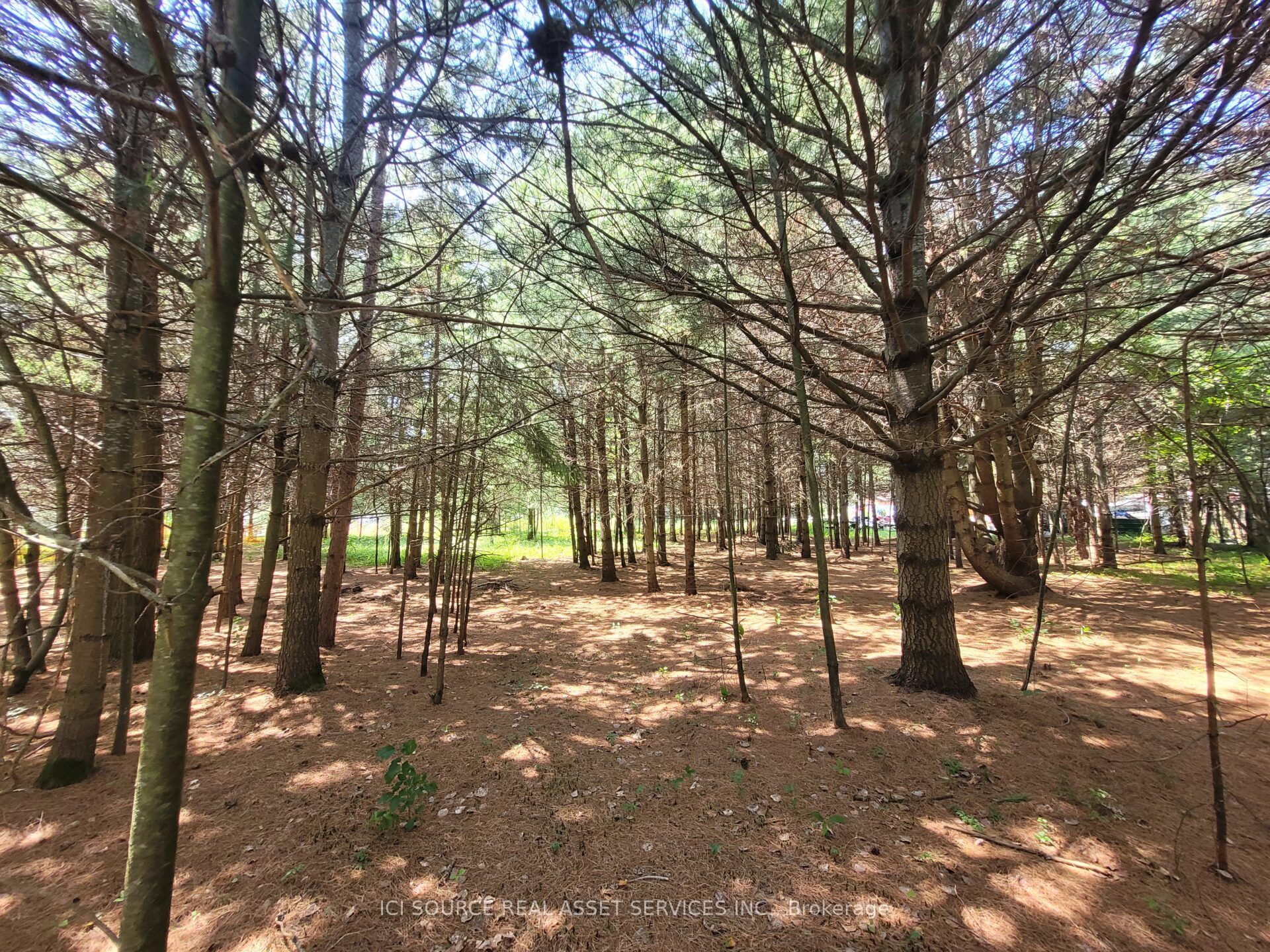 6 Grey Street, Sables-Spanish Rivers, ON P0P 2G0 photo 3