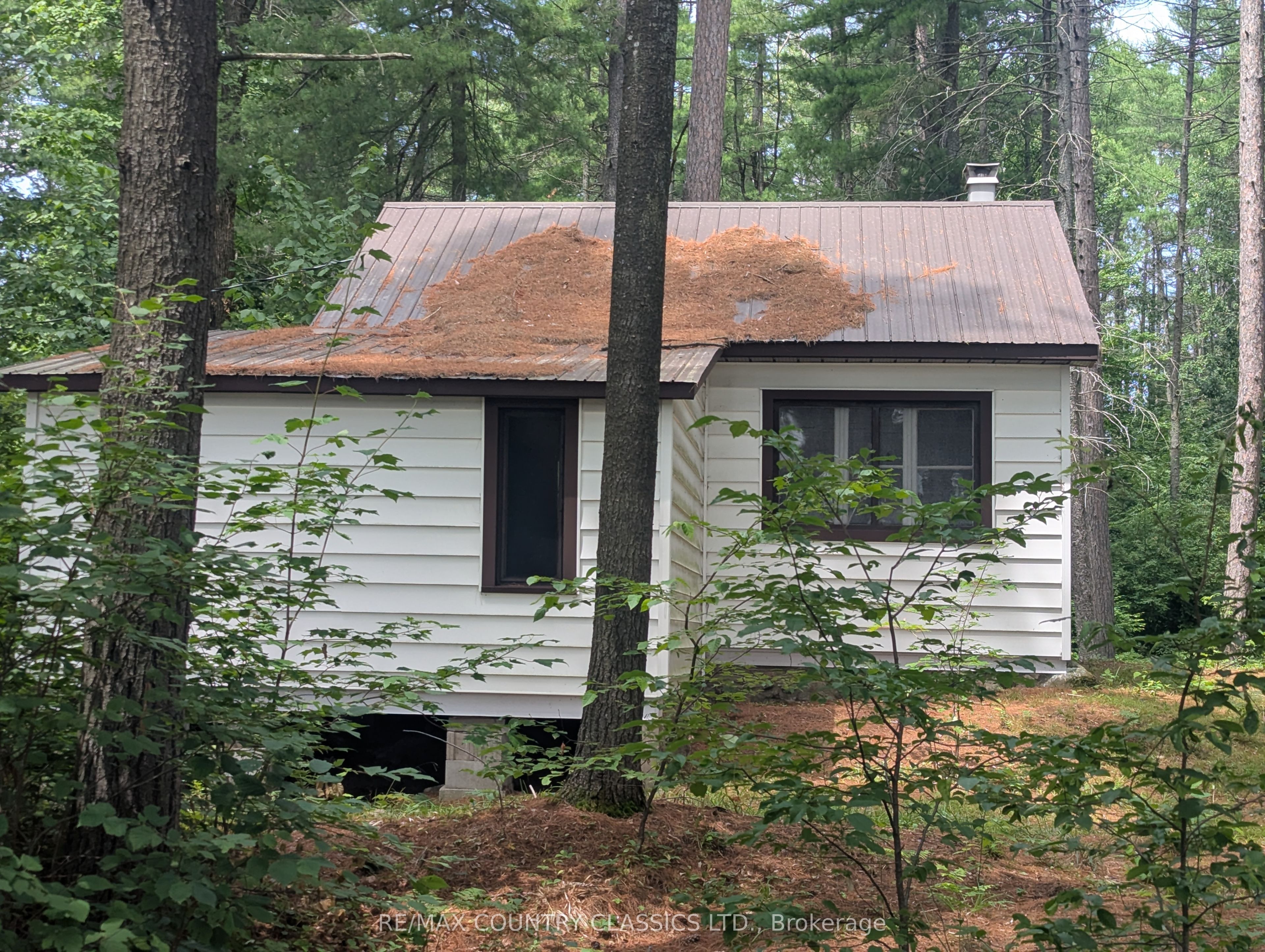 22 Swan Lane, Madawaska Valley, ON K0J 1B0 photo 2