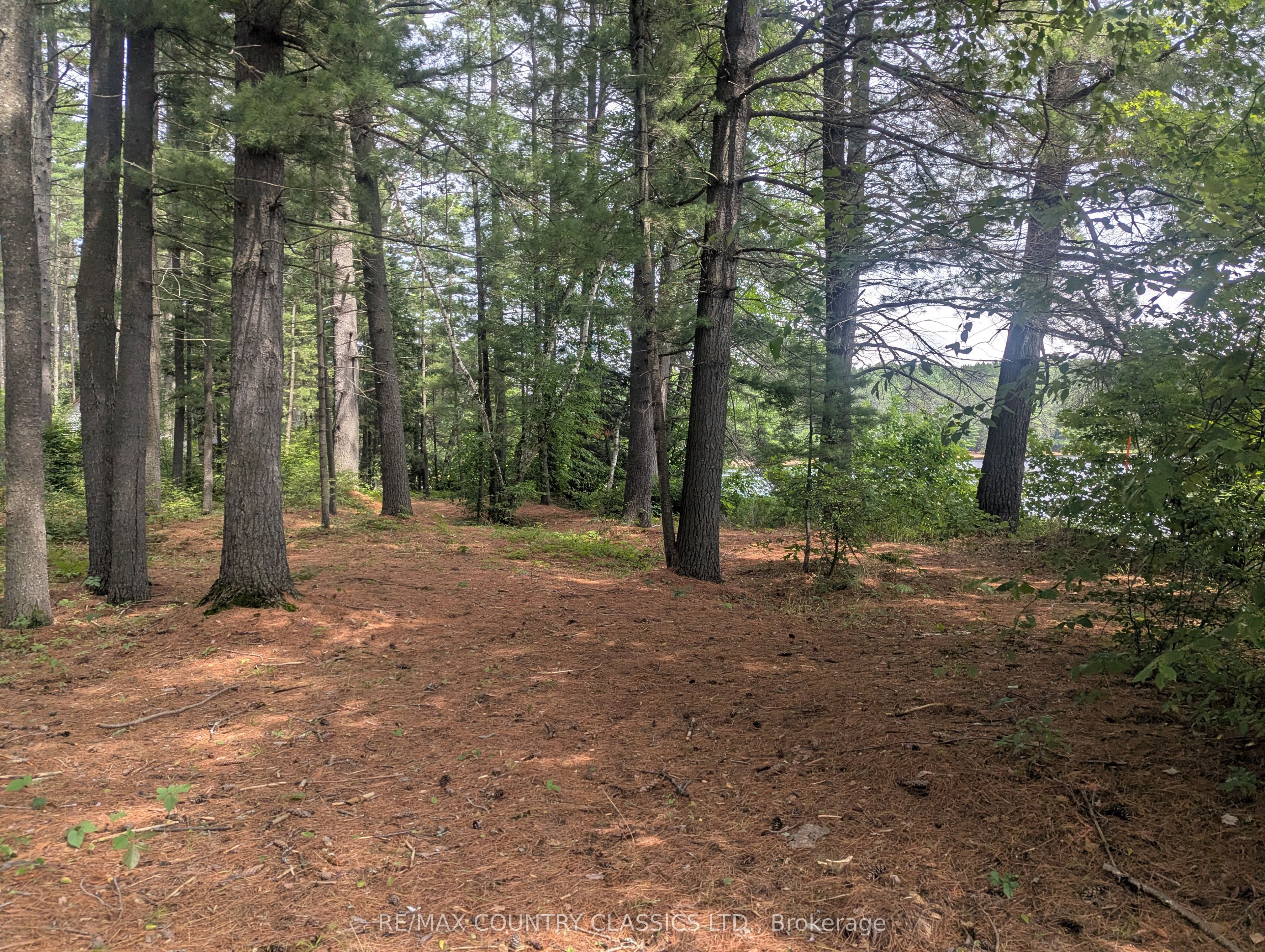 22 Swan Lane, Madawaska Valley, ON K0J 1B0 photo 4