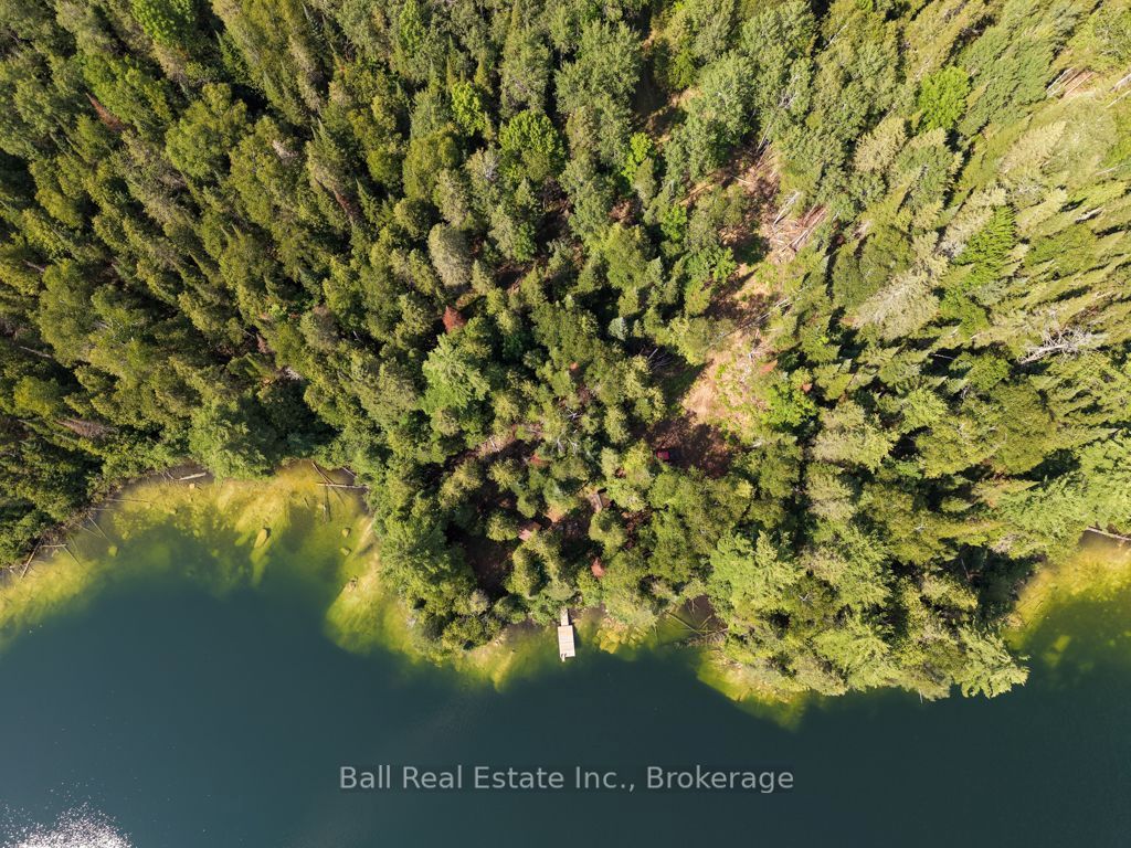 382 Old Detlor Road, Bancroft, ON K0L 2L0 photo 2
