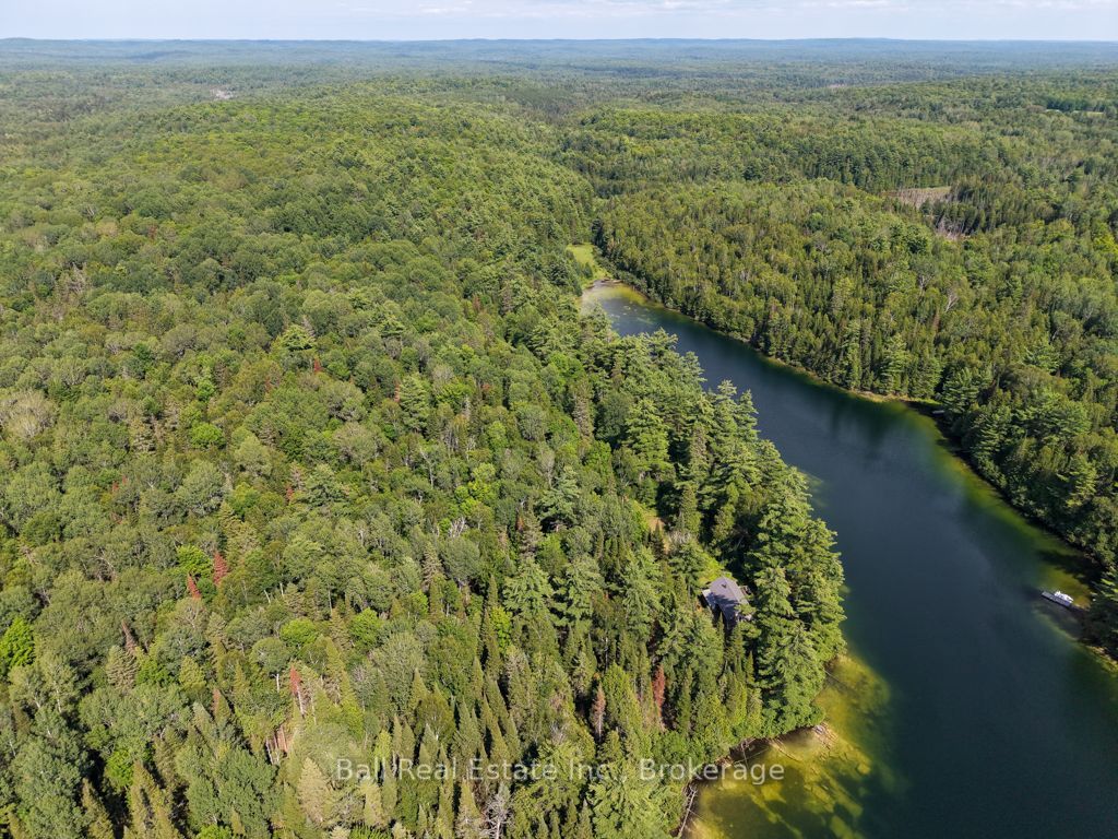 382 Old Detlor Road, Bancroft, ON K0L 2L0 photo 3