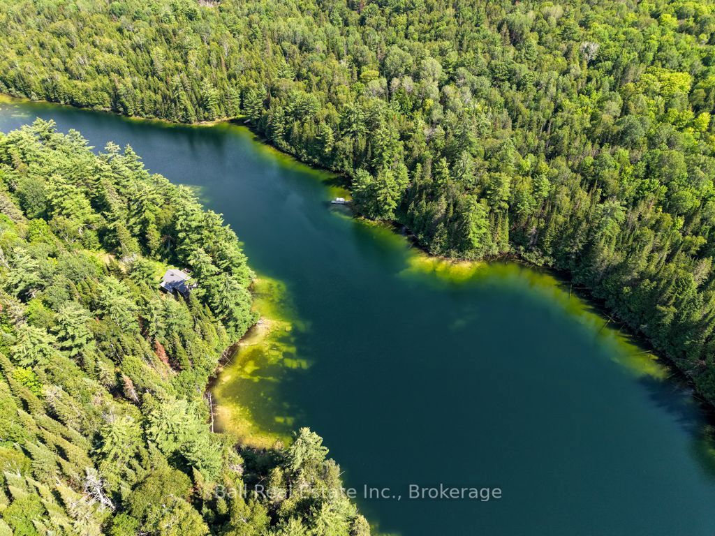382 Old Detlor Road, Bancroft, ON K0L 2L0 photo 4
