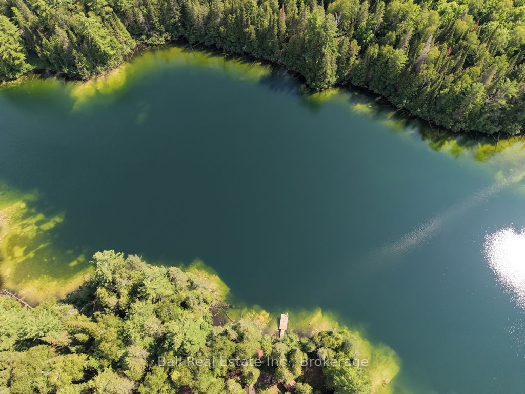 382 Old Detlor Road, Bancroft, ON K0L 2L0 photo 5