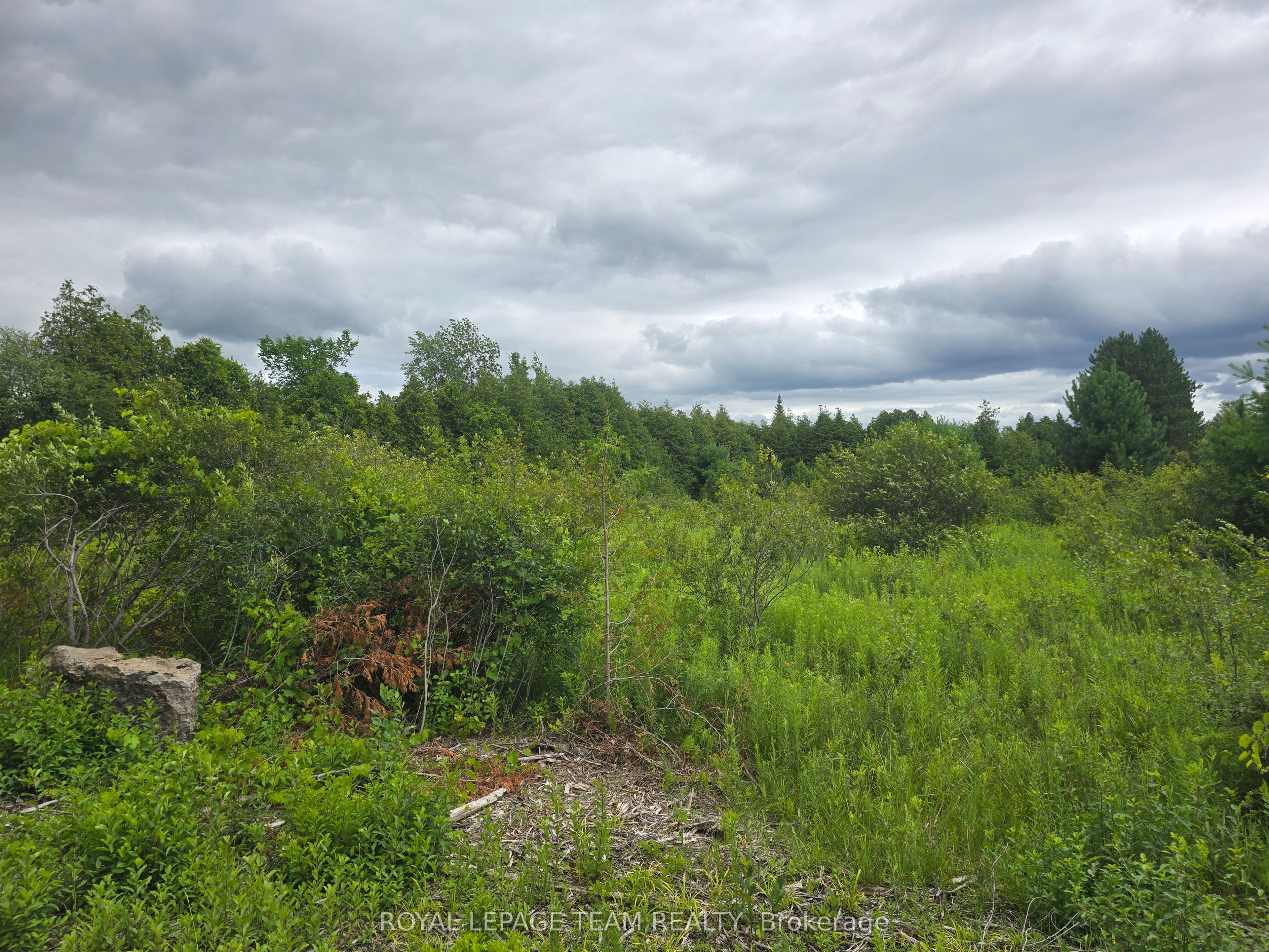 PT LT 26 CON 8  PR116457 Buckwheat Road, Edwardsburgh/Cardinal, ON K0E 1X0 photo 2