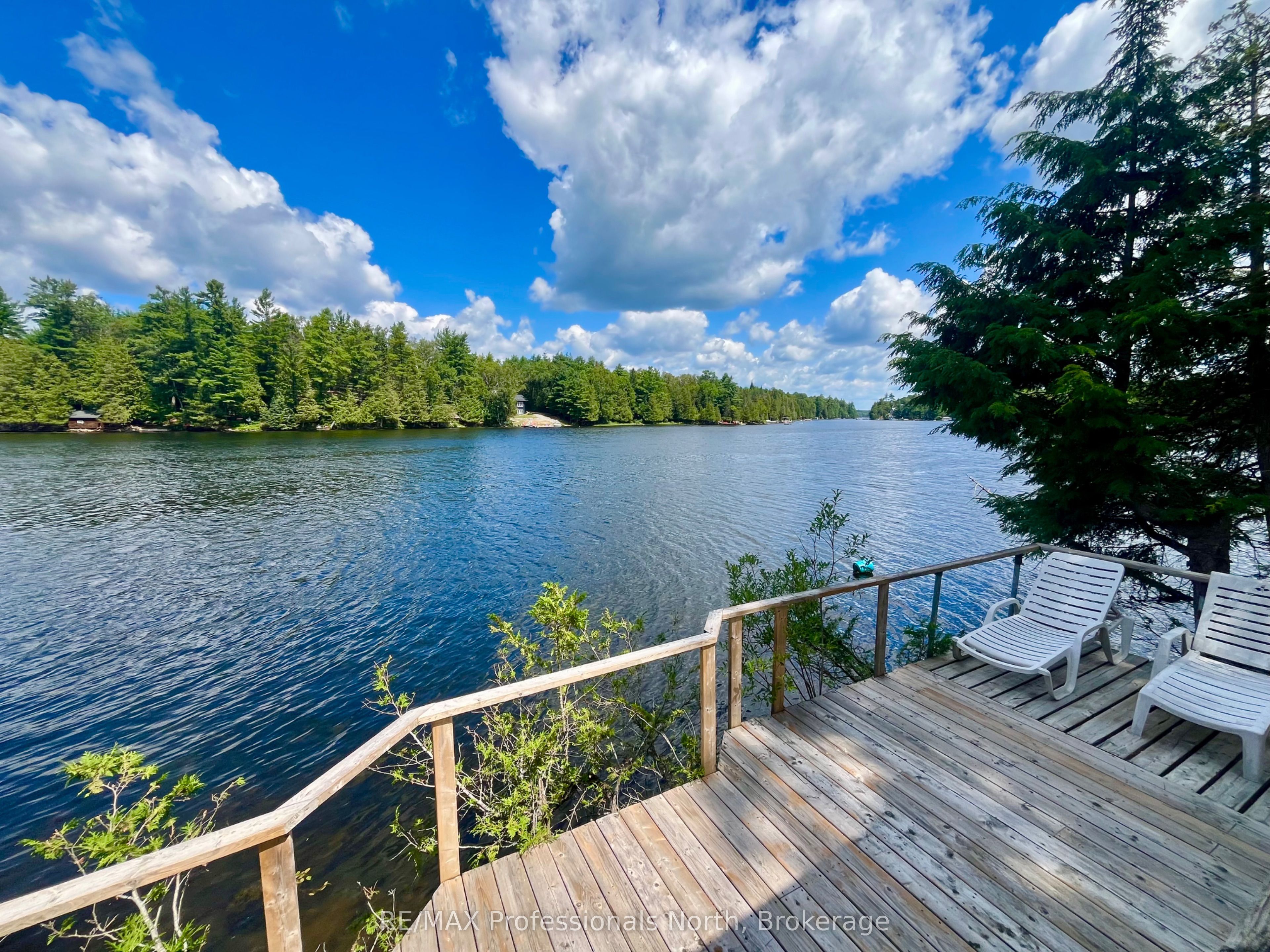 1024 Ranta Trail, Minden Hills, ON K0M 2K0 photo 3