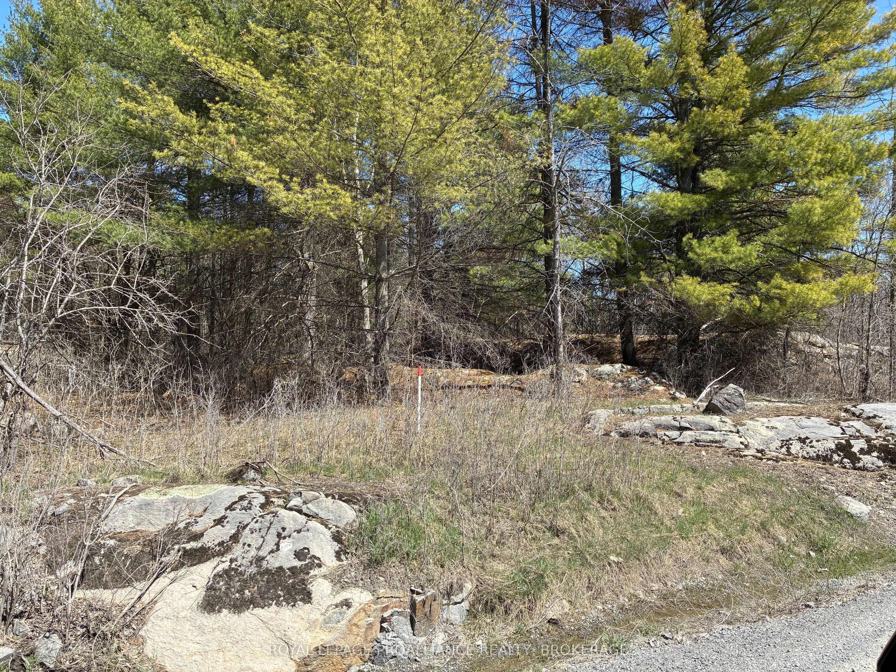 Lot 4 Leveque Road, South Frontenac, ON K0H 2W0 photo 2