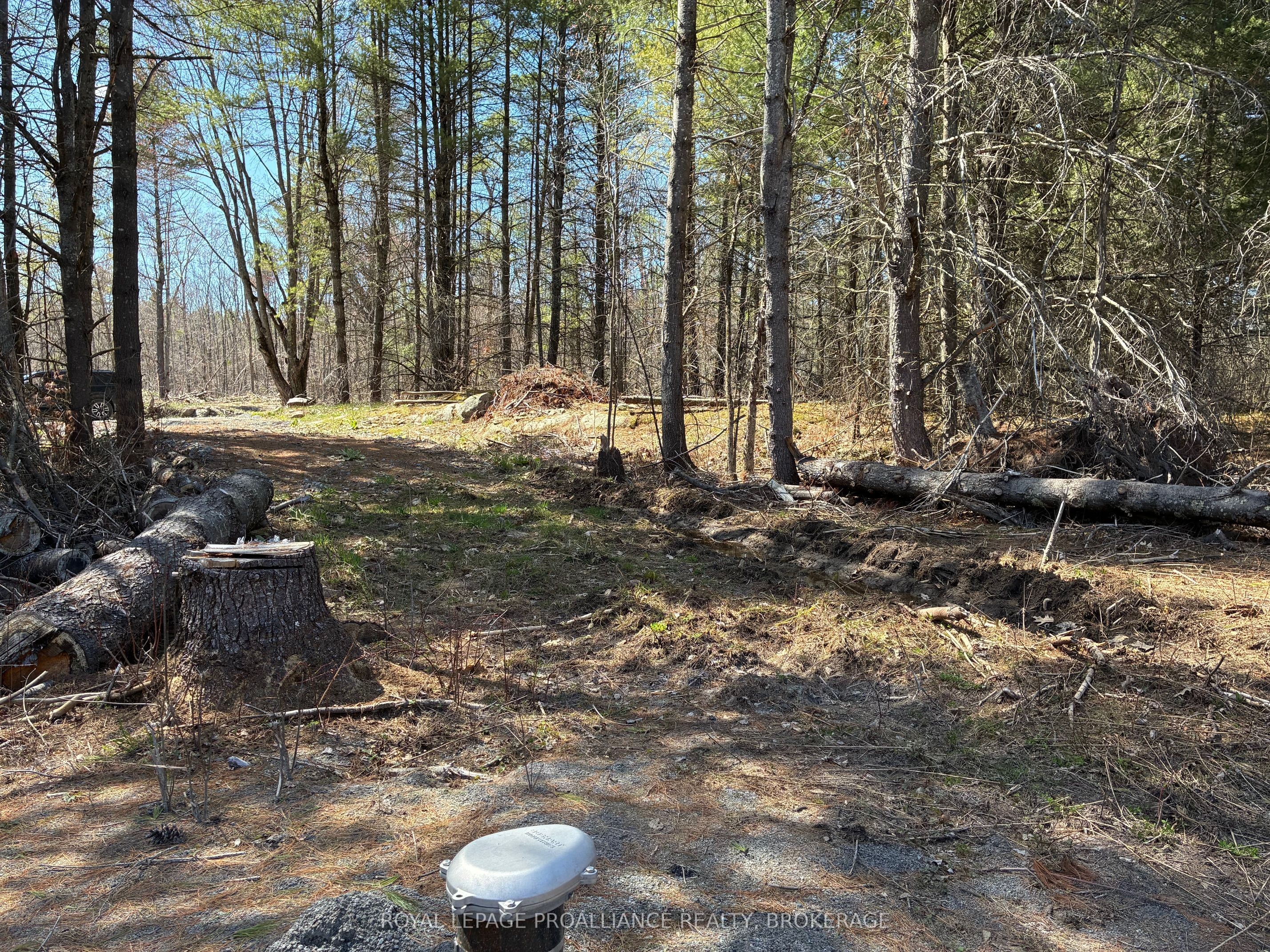 Lot 4 Leveque Road, South Frontenac, ON K0H 2W0 photo 3