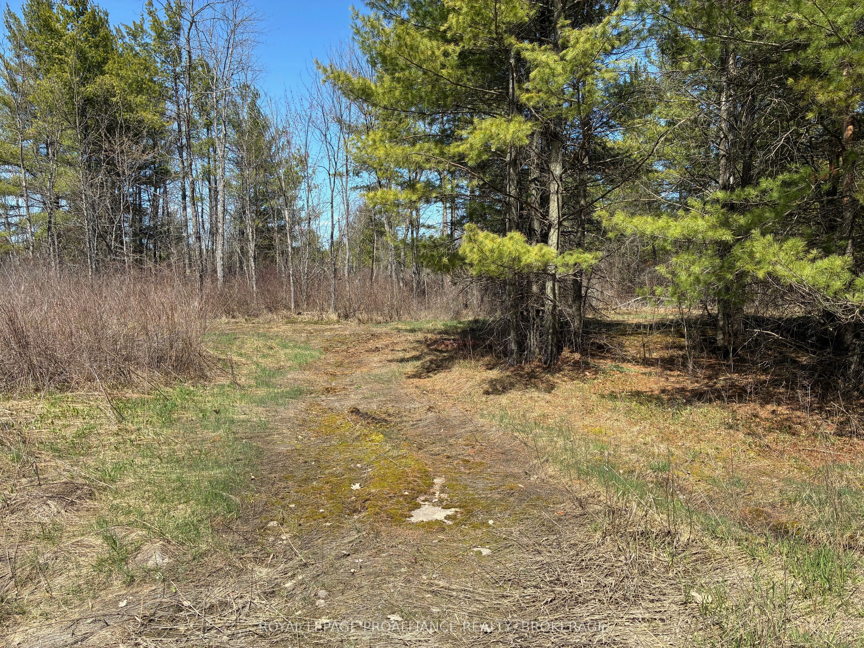 Lot 4 Leveque Road, South Frontenac, ON K0H 2W0 photo 4