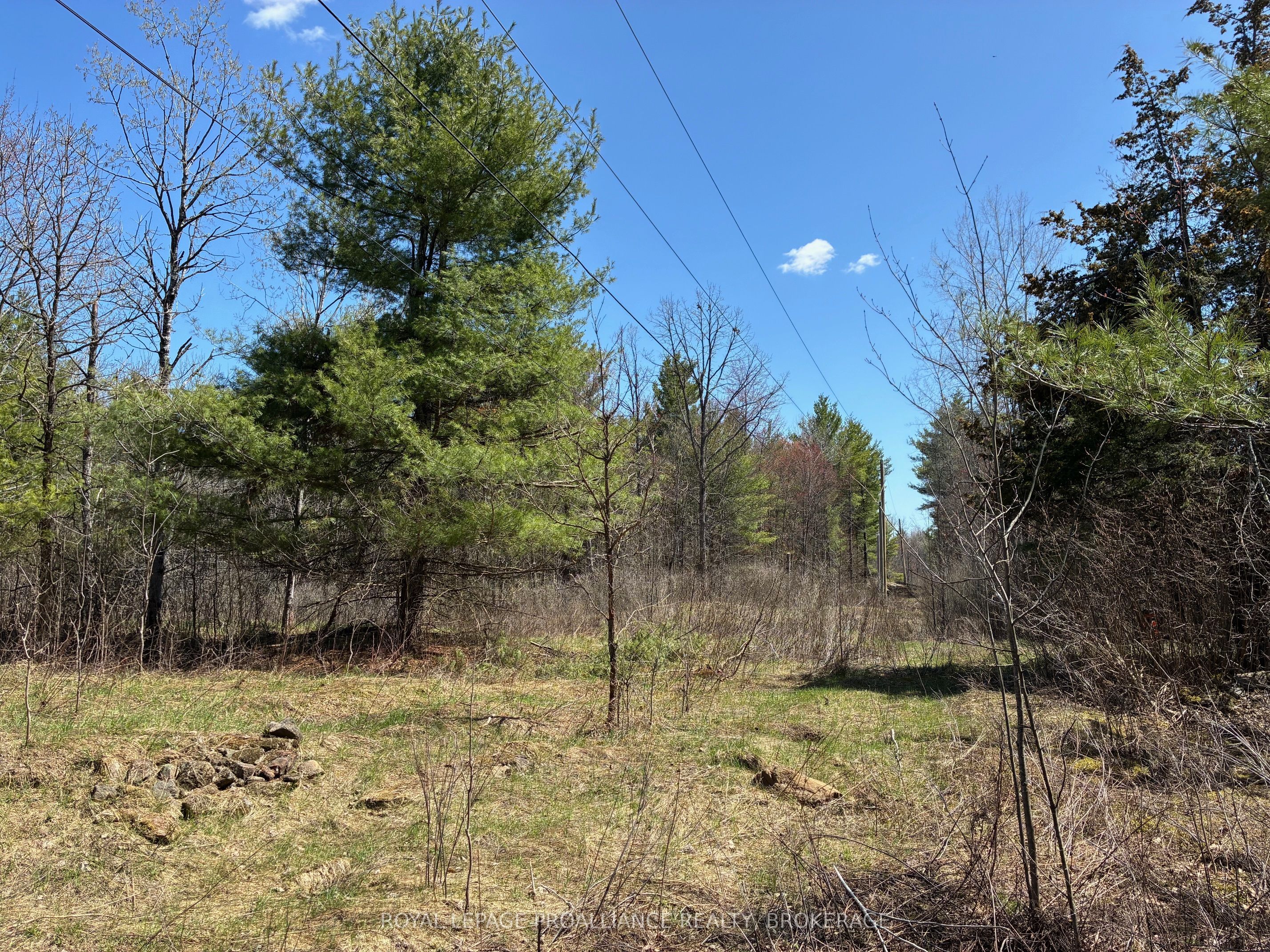 Lot 4 Leveque Road, South Frontenac, ON K0H 2W0 photo 5