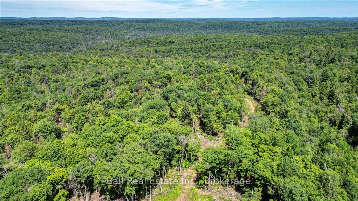 691 Bush Road, North Kawartha, ON K0L 1A0 photo 3