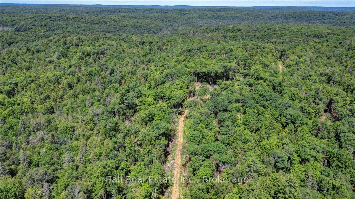 691 Bush Road, North Kawartha, ON K0L 1A0 photo 4