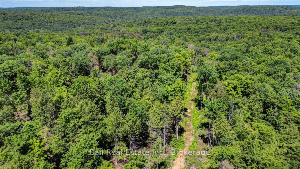 691 Bush Road, North Kawartha, ON K0L 1A0 photo 5