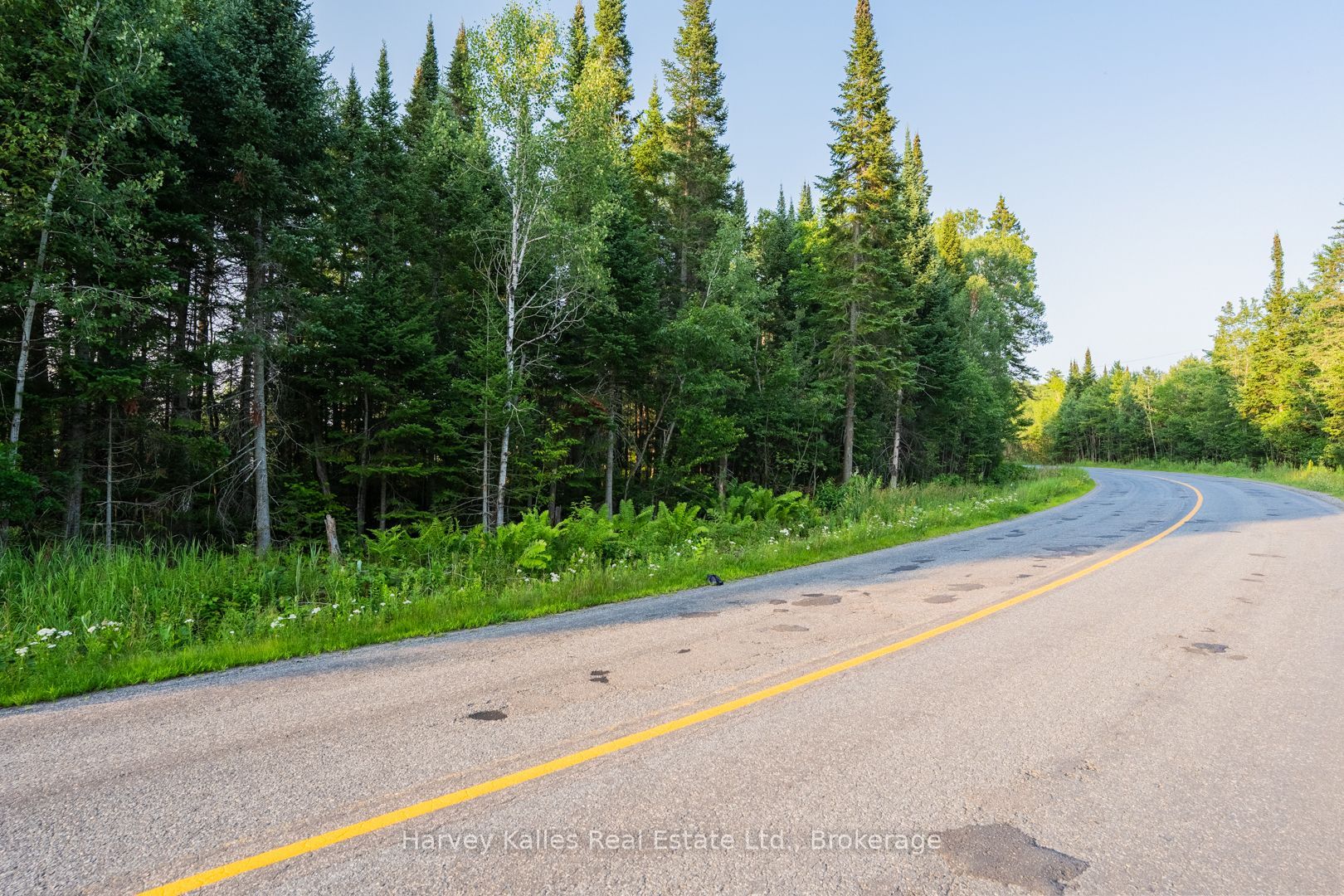 4154 & 4191 Ravenscliffe Road, Huntsville, ON P1H 2J2 photo 5