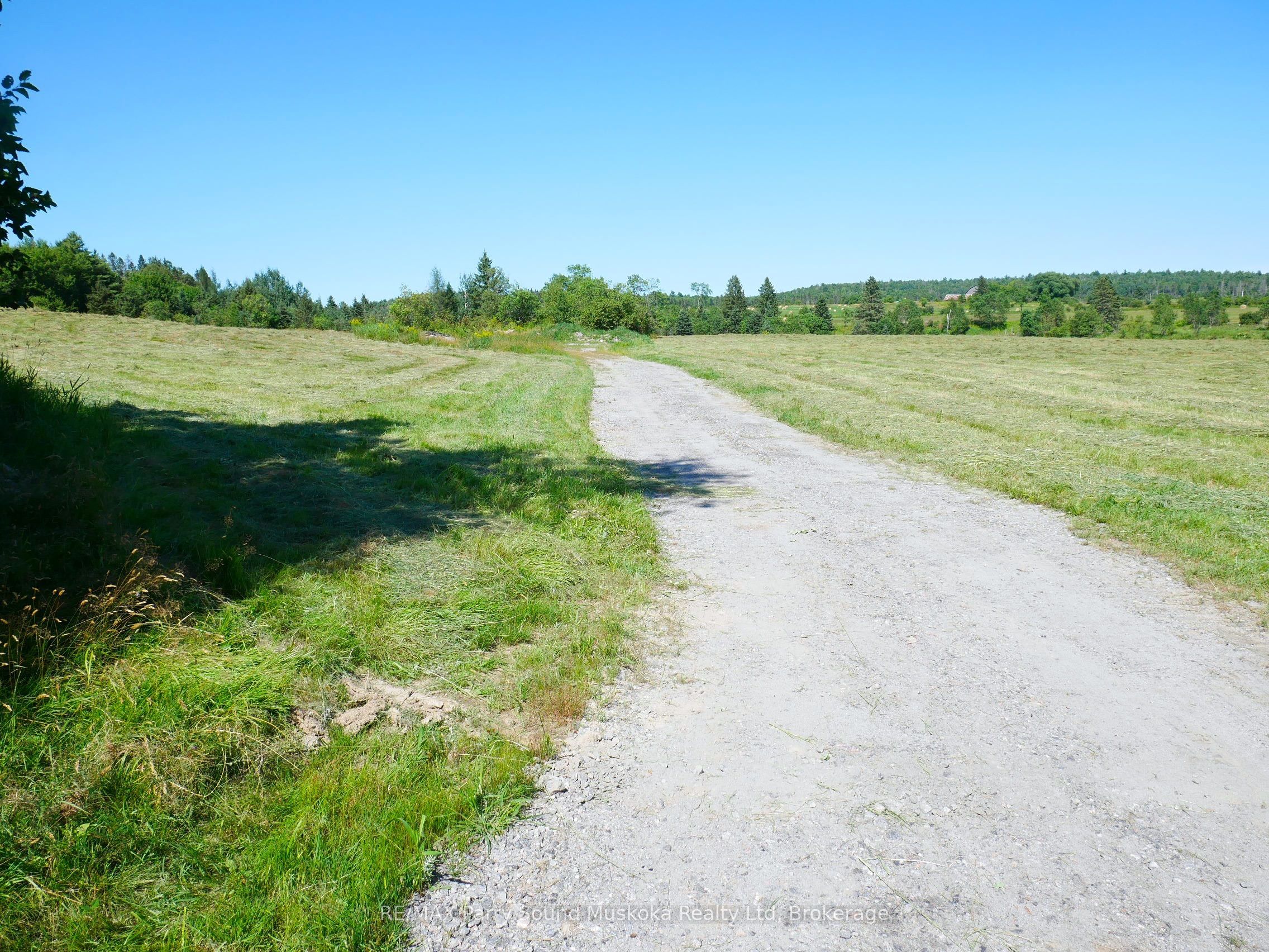 31 Miller Road, Magnetawan, ON P0A 1Z0 photo 4