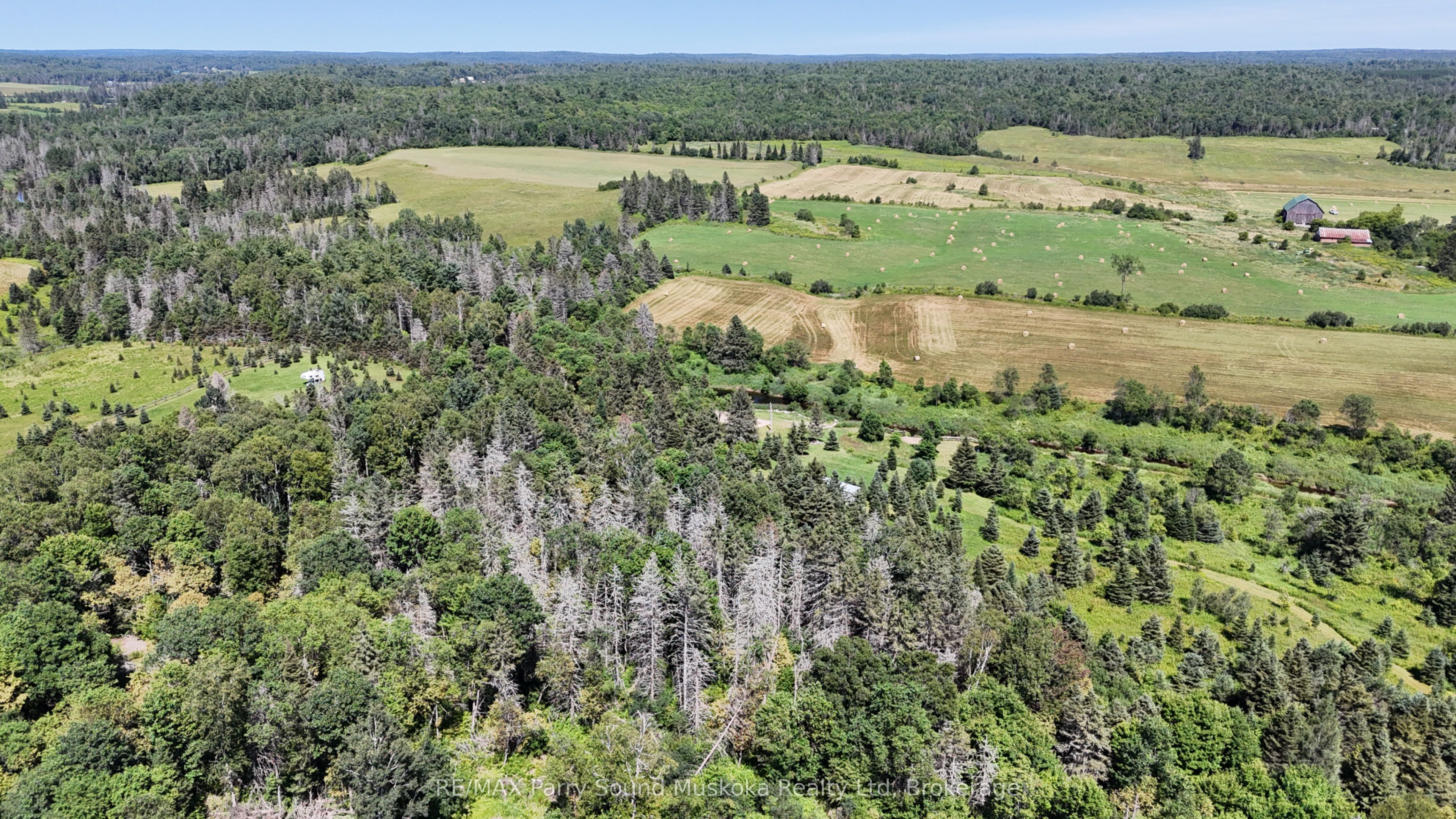 69 Miller Road, Magnetawan, ON P0A 1Z0 photo 4