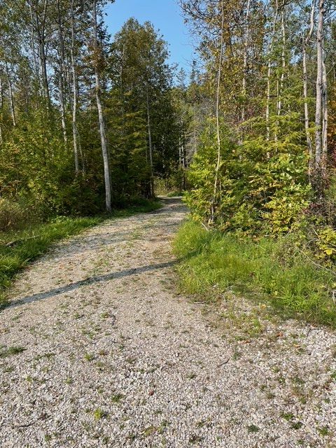 6 Henwood Street, Northern Bruce Peninsula, ON N0H 2M0 photo 3