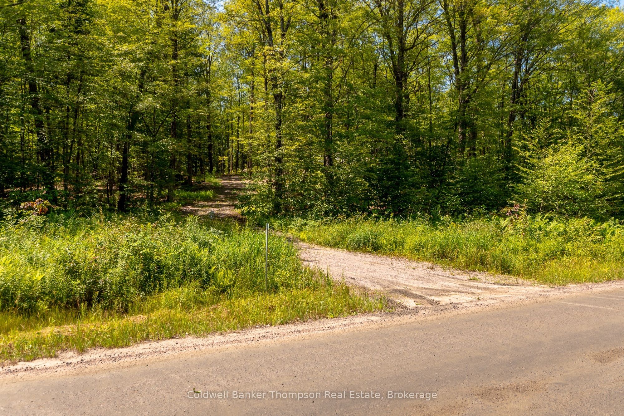2771 Midlothian Road, Ryerson, ON P0A 1C0 photo 3