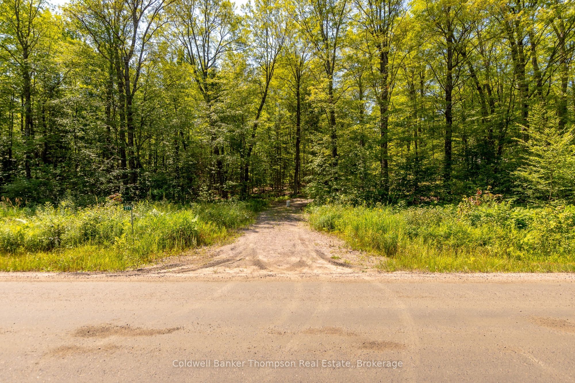 2771 Midlothian Road, Ryerson, ON P0A 1C0 photo 4