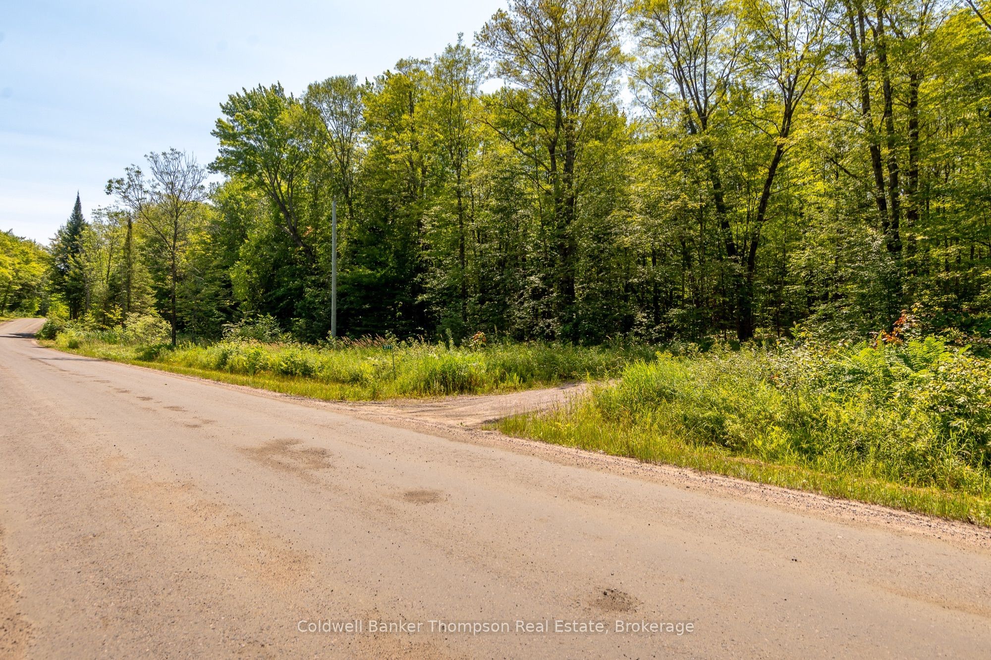 2771 Midlothian Road, Ryerson, ON P0A 1C0 photo 5
