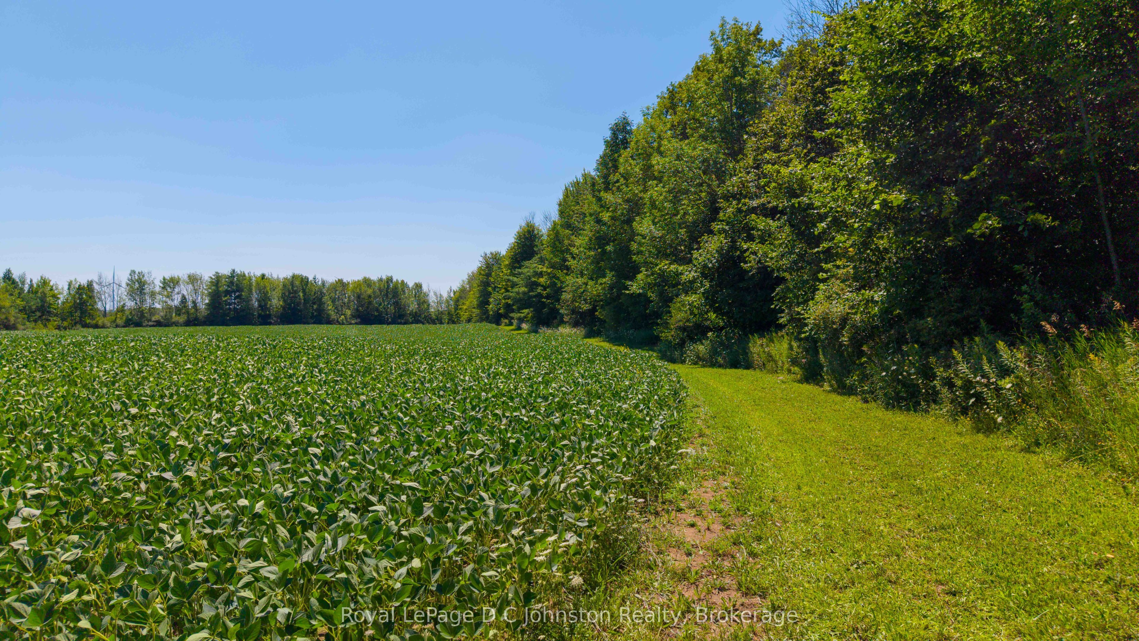 305 Sideroad 25, Kincardine, ON N0G 2T0 photo 4