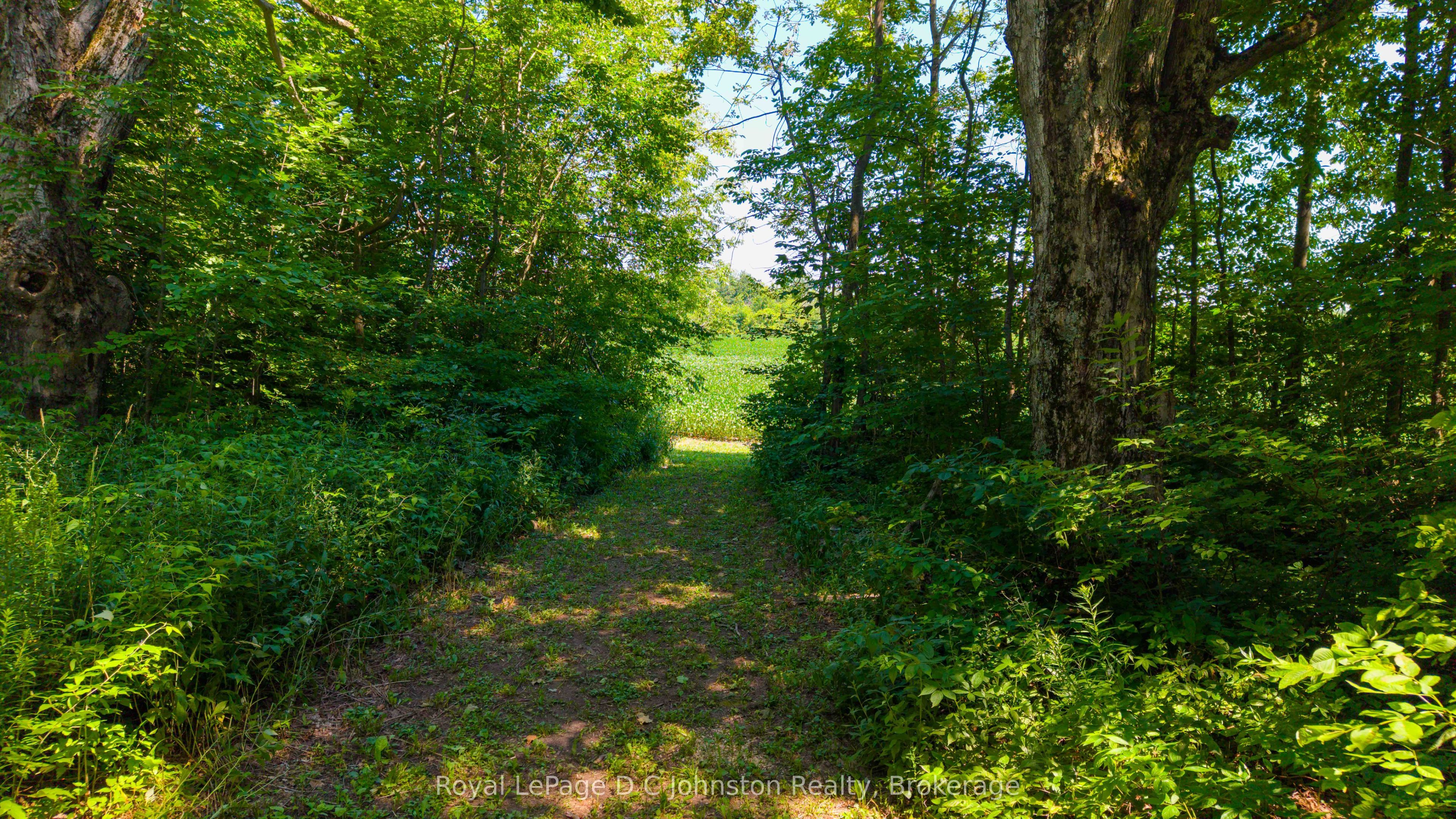 305 Sideroad 25, Kincardine, ON N0G 2T0 photo 5